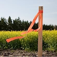 Greenes Fence 2 Ft. Wooden Garden and Sign Post Stakes (50-Pack)