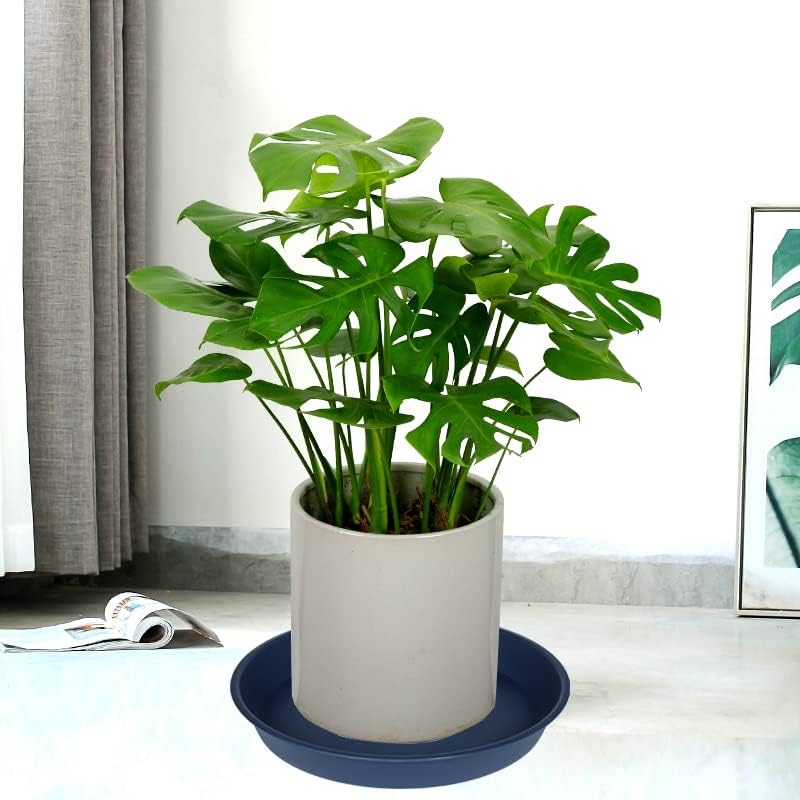 4 Pack of 16 inch Plant Saucer, Heavy Duty Round Plant Trays for Pots, Bird Bath Bowls, Plastic Plant Water Tray, Flower Plant Saucers for Indoors (16", Blue)