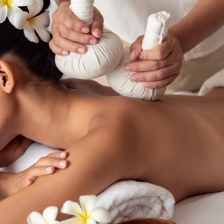 Green Turmeric Live Plant - (Curcuma aeruginosa) - Rare Medicinal Herb, Vibrant Pink Flowers, Ideal for Tropical Gardens (2 Green Turmeric Cups)