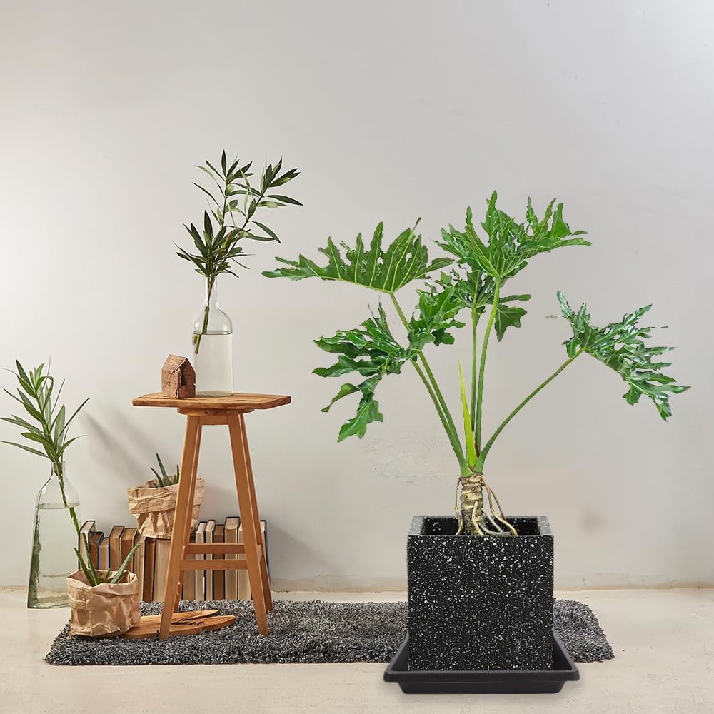 Square Plant Saucer 8 Inch 4 Pack 6 10 12 14 16 18 20 inch, Saucers for Potted Plants and Water Catcher Tray, Plant Drip Trays and Flower Pot Saucers, Plant Saucers for Indoors and Outdoors