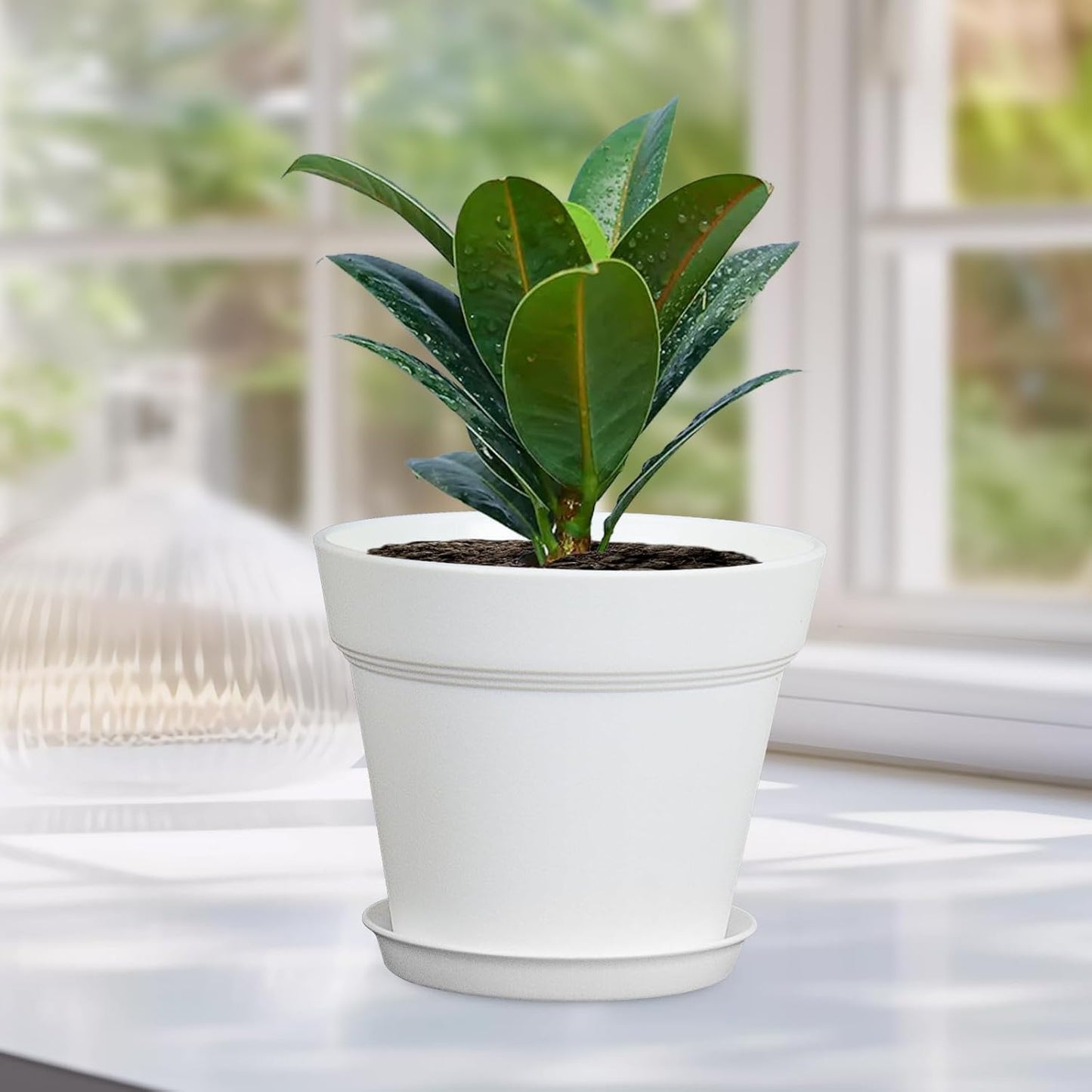 4 inch Small Plastic Nursery Pots, 16 Pack Plant Pots for Indoor Outdoor Plants, Flower Pots with Drainage Holes and Saucers, Decorative Seedling Starter Planters for House Plants, White