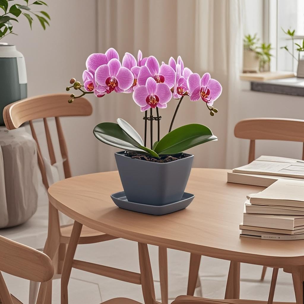 Square Plant Saucer 8 Inch 2 Pack,Plant Trays for Pots, Gray Ceramic Plant Saucers for Indoors Outdoors, Plant Drip Tray 4 6 8 10 12 14 Inch