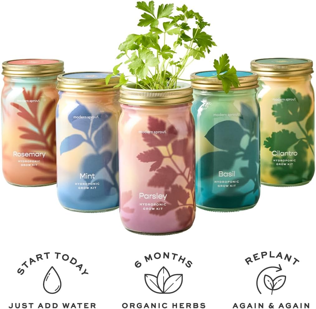 Modern Sprout Mason Garden Jar - Self-Watering Hydroponics Growing System Kit with Organic Herb Seeds - Jar Planter for Indoor Herb Garden - Seed Starter Kit - Home Decor & Gifting - Basil+Rosemary