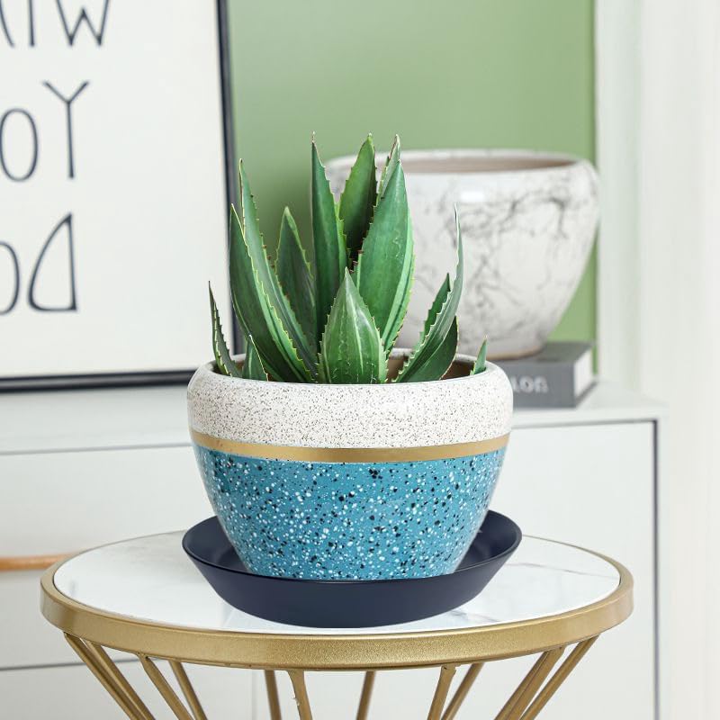 4 Pack of Plant Saucer, 5 inch Glazed Ceramic Plant Tray, Deep Drainage Tray for 4 Inch Flower Pot,Plant Dish Plate to Catch Water for Indoor & Outdoor