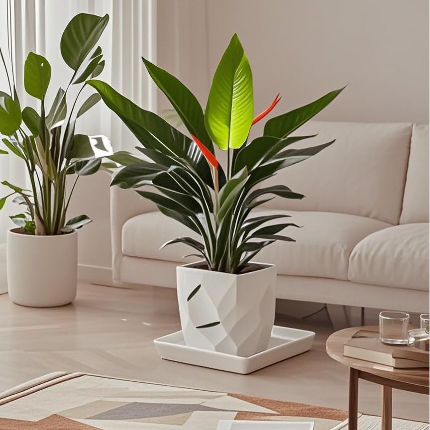 Square Plant Saucer 14 Inch 1 Pack,Plant Trays for Pots, White Ceramic Plant Saucers for Indoors Outdoors, Plant Drip Tray 4 6 8 10 12 14 Inch