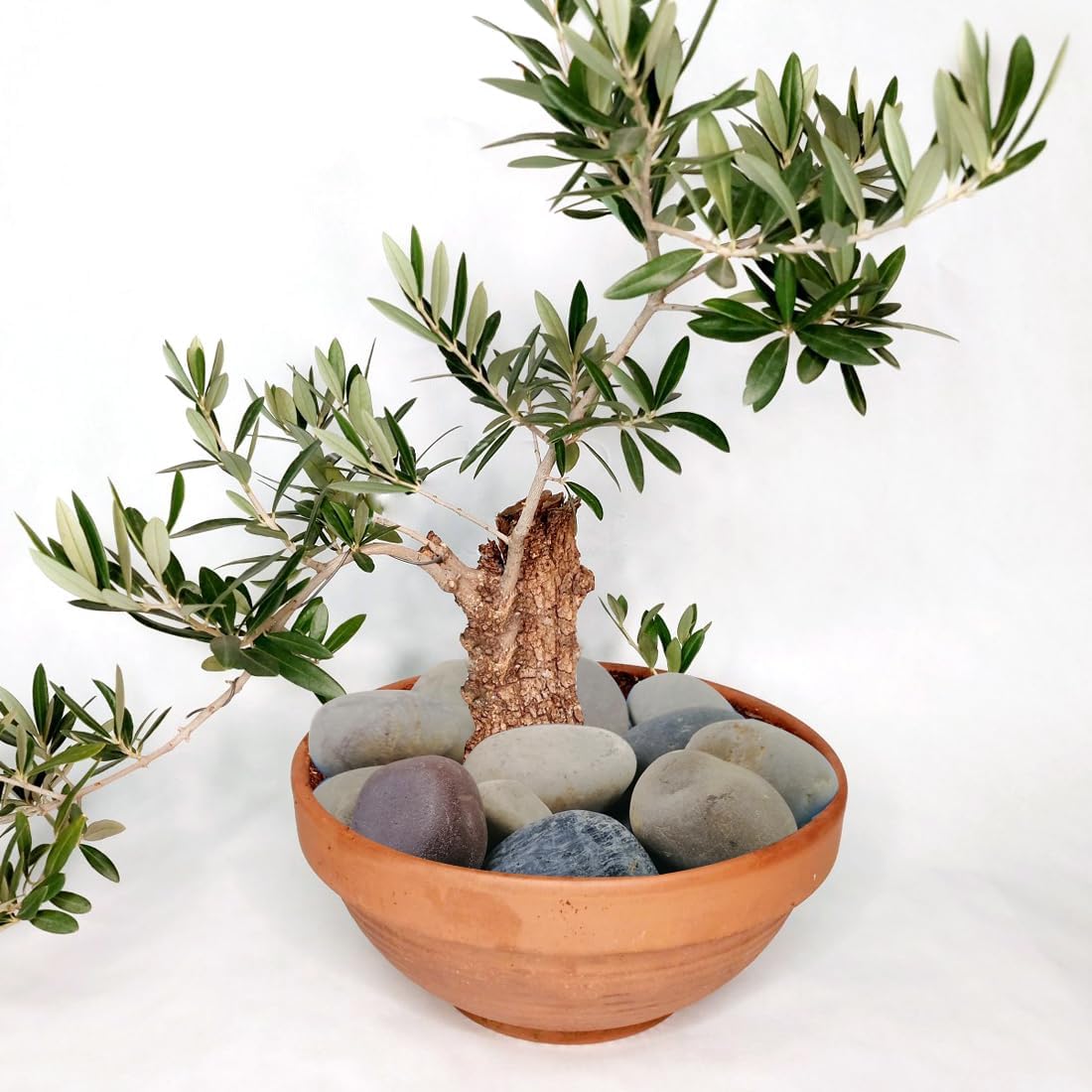 40lbs Natural River Rocks, 3"-4" Premium Pebbles for Garden and Landscape Design, Hand-Picked Smooth Stones for Fish Tank, Flower Pots, Indoor Water Fountains, Pathways, Backyard