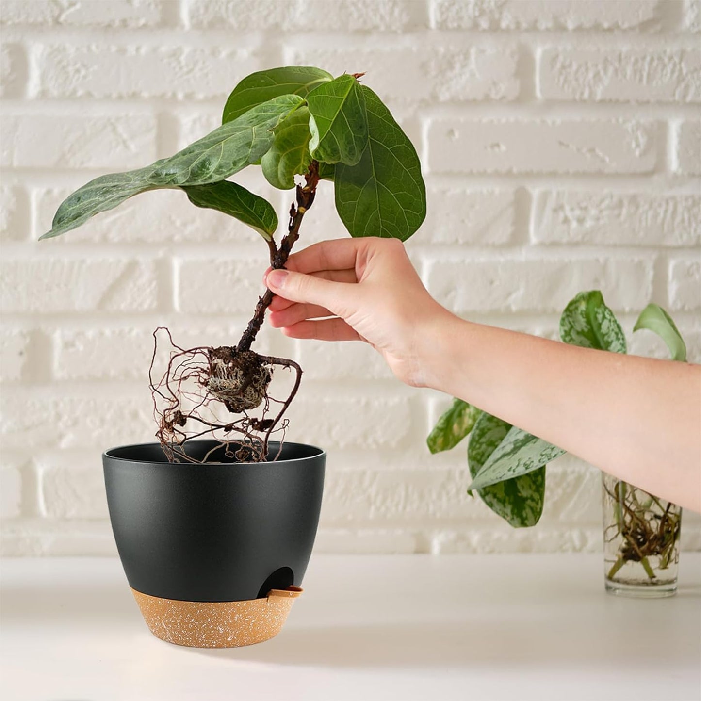 Self Watering Plants Pot with Drainage Hole, Flower Plants Pots for Indoor & Outdoor, Black Plastic Self Watering Planters Succulent Pot 5pcs/Set