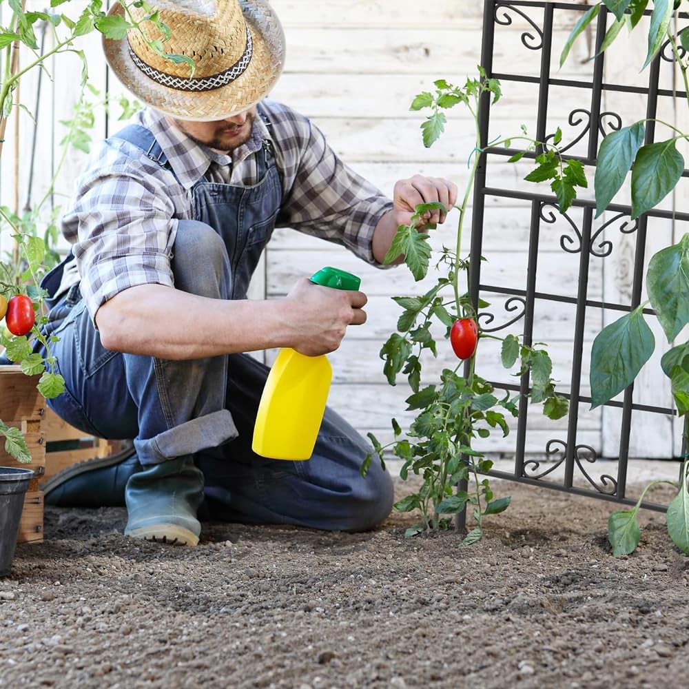 4 Pack 72x20in Rustic Iron Arch Decoration Garden Trellis with Black Metal Coating – Perfect for Supporting Climbing Plants Outdoor, Roses, Vines, Flowers, and Vegetables.