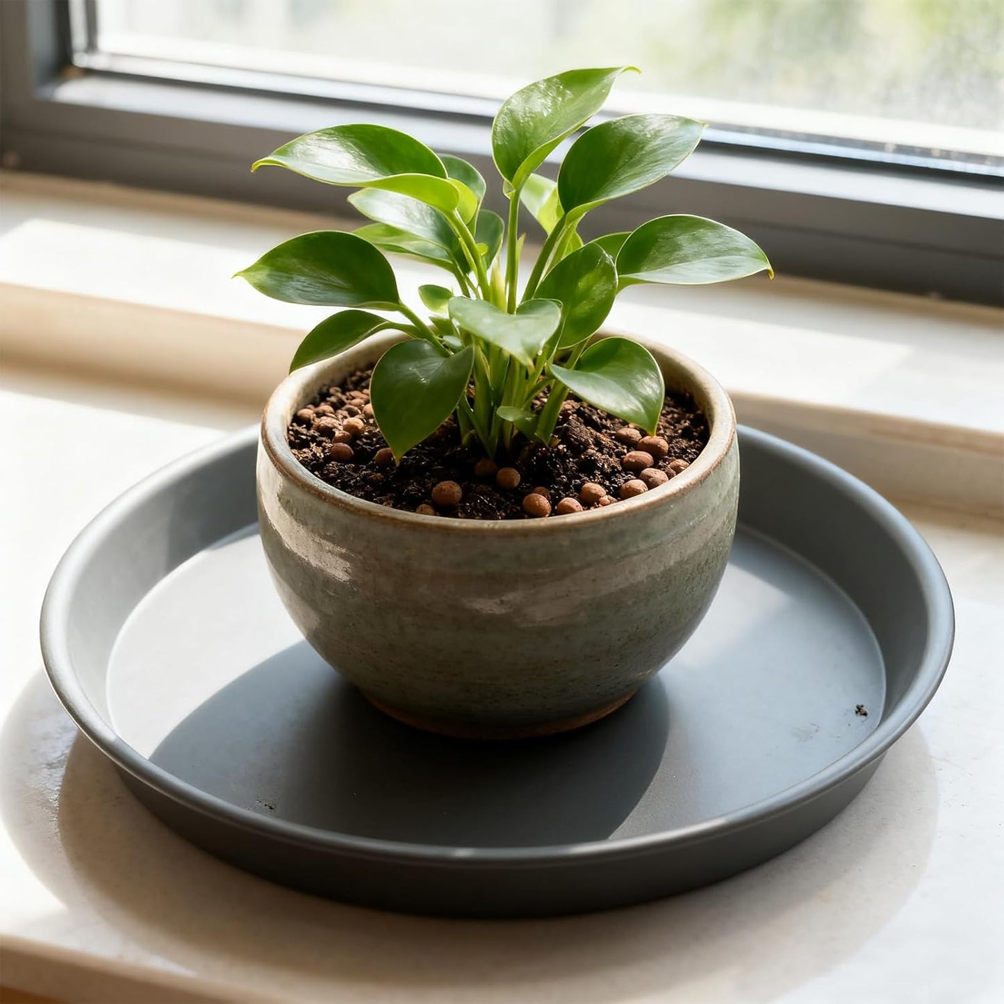 TITE Plant Saucer Heavy Large Planter Durable Thicker Plastic Plant Trays for Indoors and Outdoor,Plant Saucer Drip Trays (Grey, 12 inch)