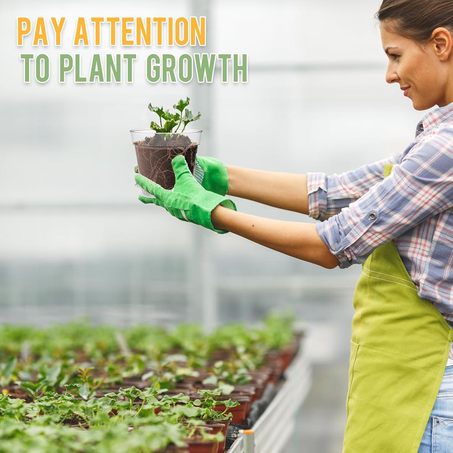 3 Inch Clear Nursery Pots, 60 Pack Highly Transparent Plastic Seedling Starter Planters with Drainage Holes and Trays for Flowers, Small Plant Pots for Indoor Plants