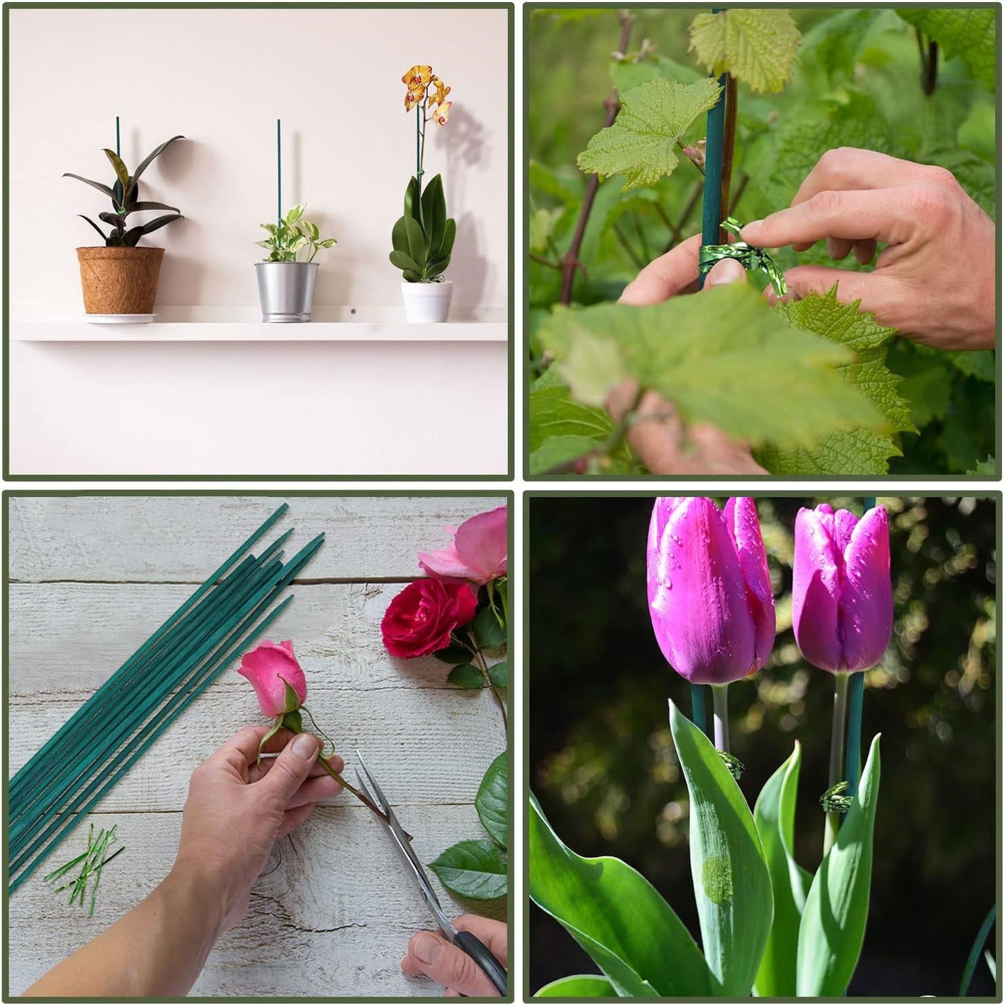 Green Bamboo Plant Stakes, Plant Sticks Support for Indoor and Outdoor Plants, Garden Wood Sturdy Bamboo Sticks, Floral Plant Support Stakes for Garden Plants 25 Pack(18 Inches)