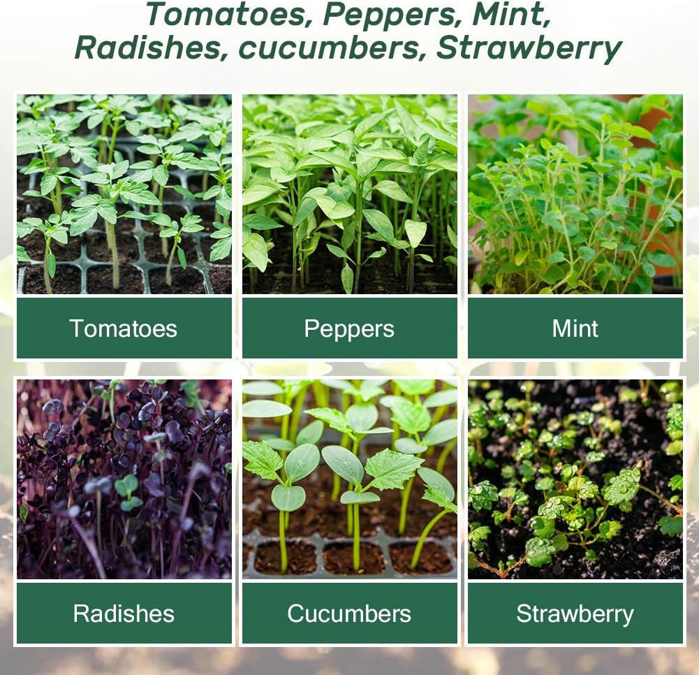 Bonviee 5-Pack Seed Starter Trays, Seed Starter Kit with Adjustable Humidity Dome and Base Indoor Greenhouse Mini Propagator for Seeds Growing Starting (12 Cells Per Tray, Green)