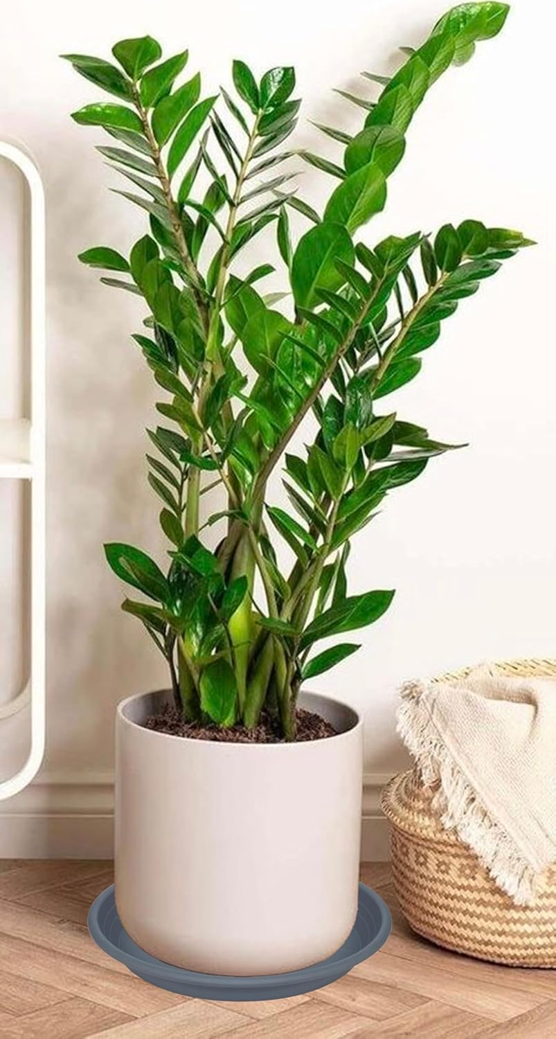 4 Pack of 16 inch Plant Saucer, Large Plant Tray, Heavy Sturdy Plant Drainage Tray for Indoors, Bird Bath Bowls, Sturdy Plastic Pot Tray for Planter 14 15 16"(Gray)