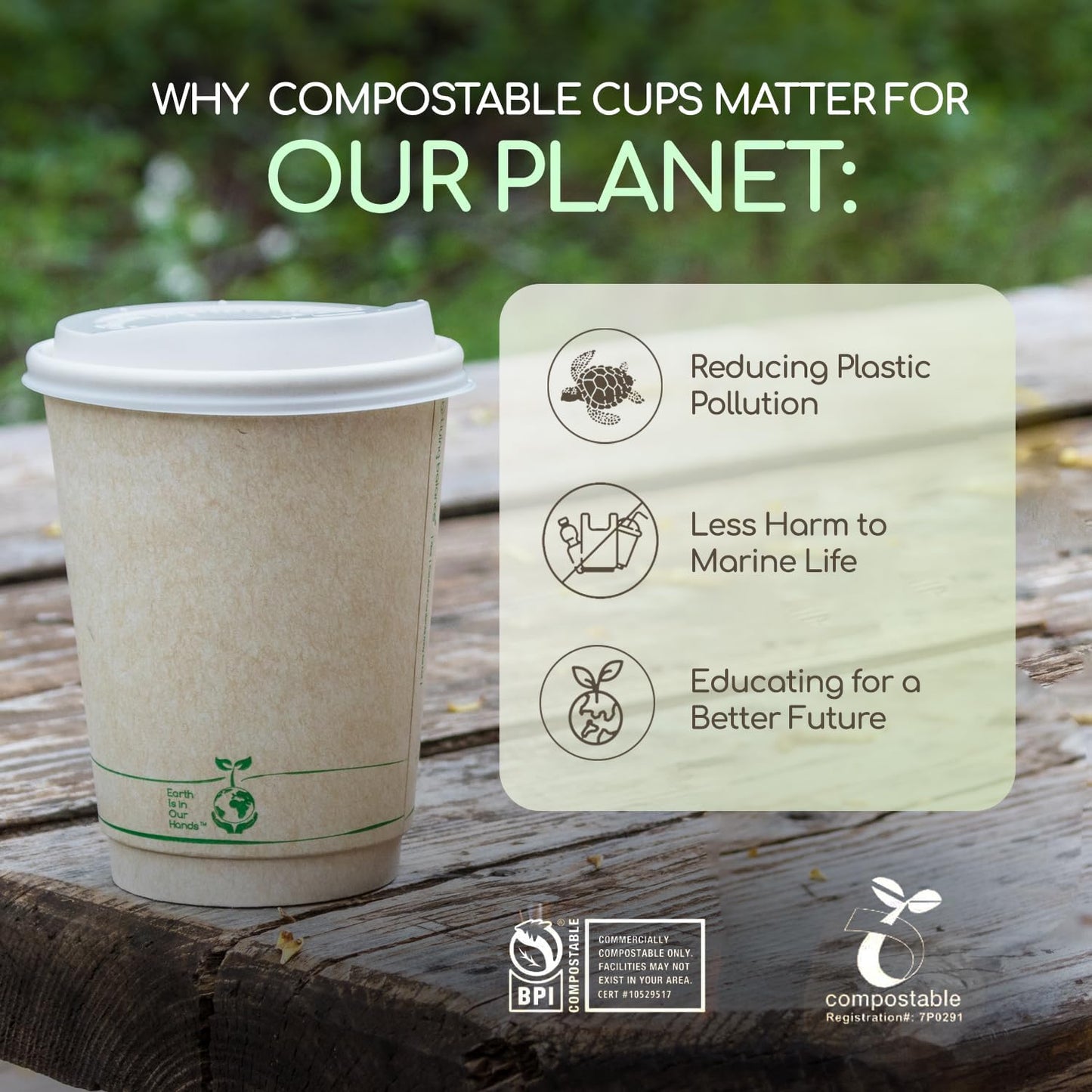 Living Balance Certified Compostable Coffee Cups with Lids 12 oz – 100 Pack Cups with Stirrers & Integrated Sleeves | Leak Proof, BPA-Free & PLA Certified Plant-based | To-Go cup for Hot & Cold Drinks