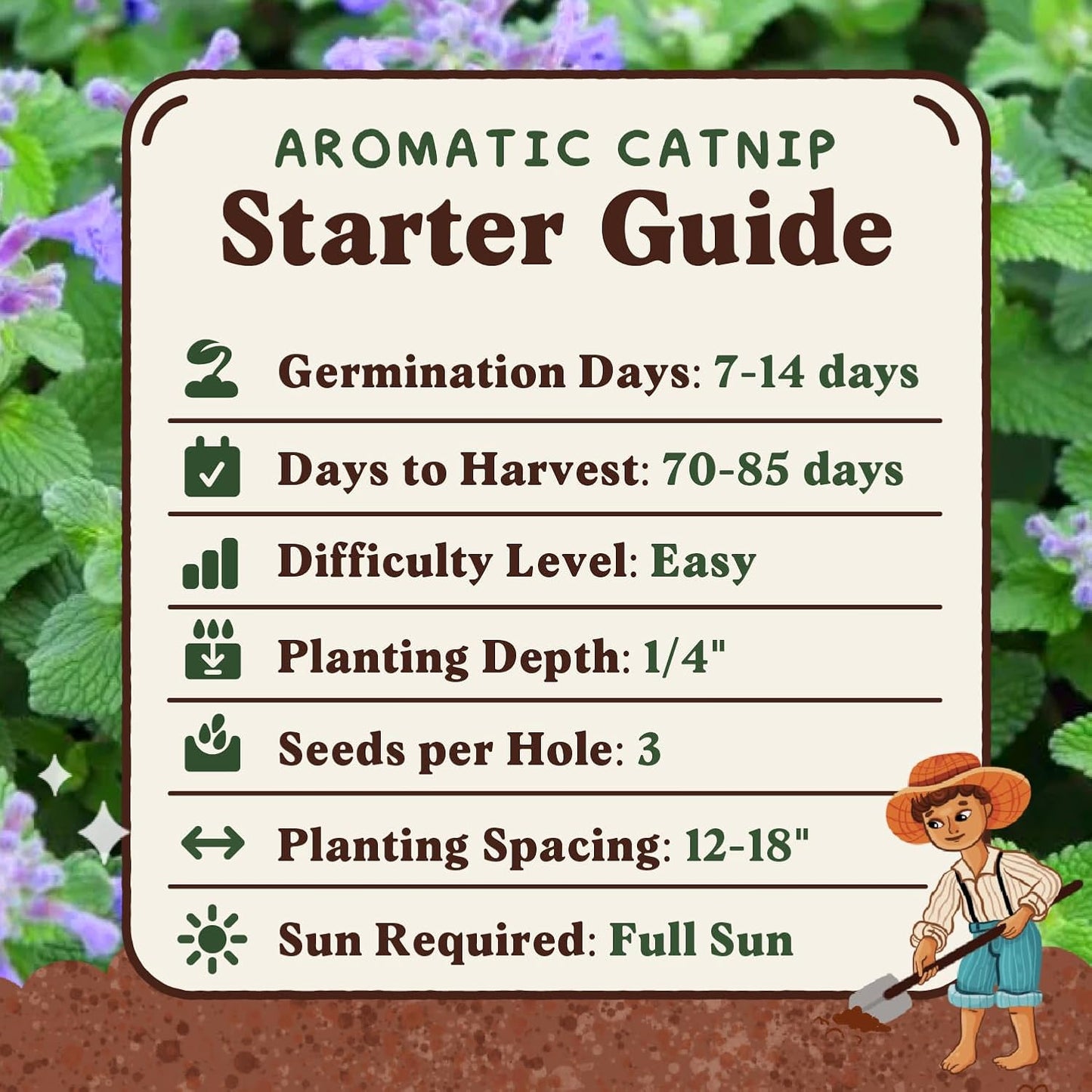 Seedboy Catnip Seeds for Planting Indoor and Outdoor, Non-GMO Herb Seed Packet for Hydroponic Garden Indoor or Planting Outdoors (Catnip)