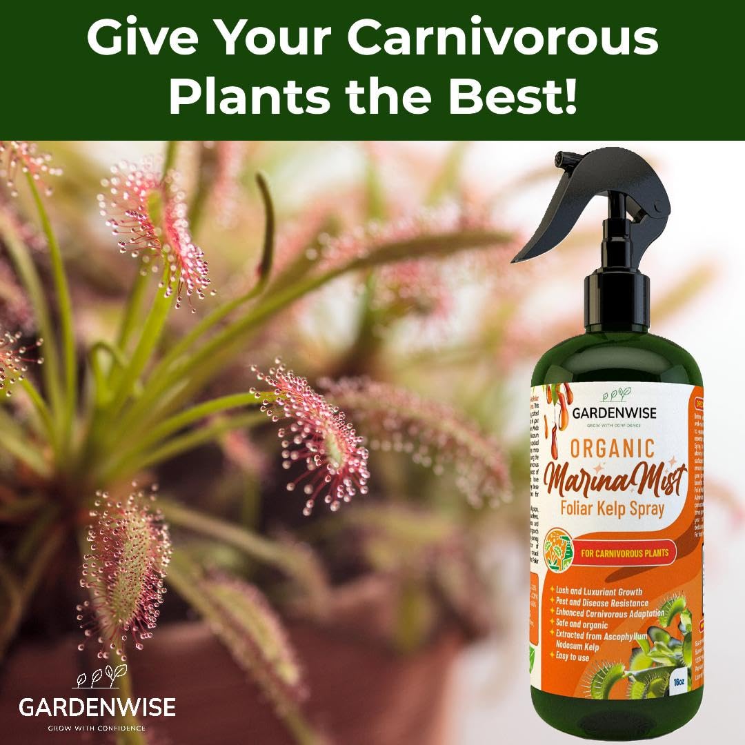 100% Organic Marina Mist Carnivorous Plant Food | Liquid Kelp Foliar Spray for Plants - Kelp Fertilizer for Venus Flytraps, Sundew, Butterworts, Pitcher Plants 8 Oz