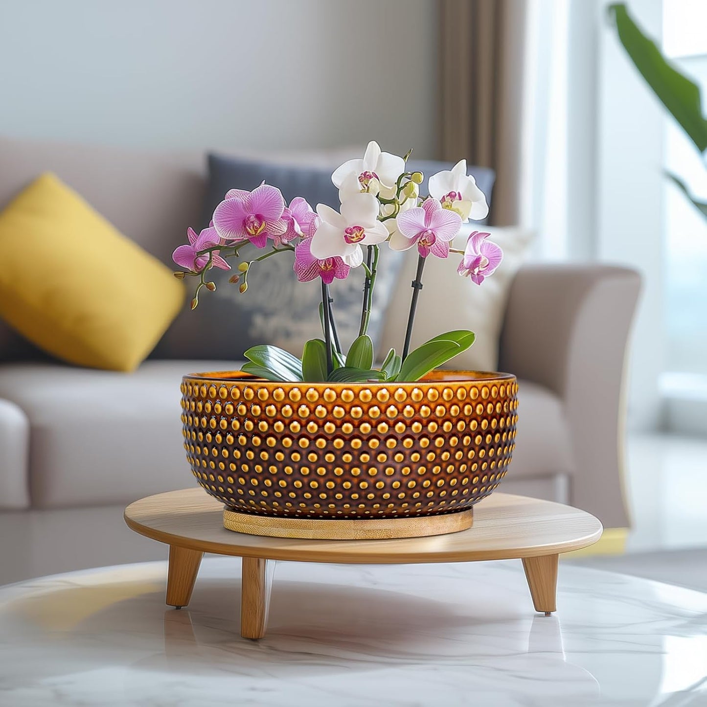 Bonsai Pots - 8 Inch Succulent Bowl for Indoor Plant, Shallow Round Ceramic Planters with Drainage Hole and Saucer, Boho Home Room Office Apartment Decor, Plant Lovers Gifts, Brown