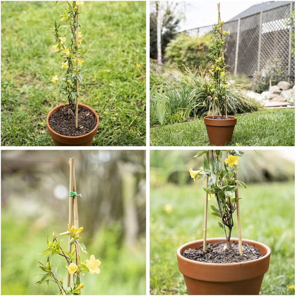 Mininfa Natural Bamboo Stakes 3 Feet, Eco-Friendly Garden Stakes, Plant Stakes Supports Climbing for Tomatoes, Trees, Beans, 25 Pack