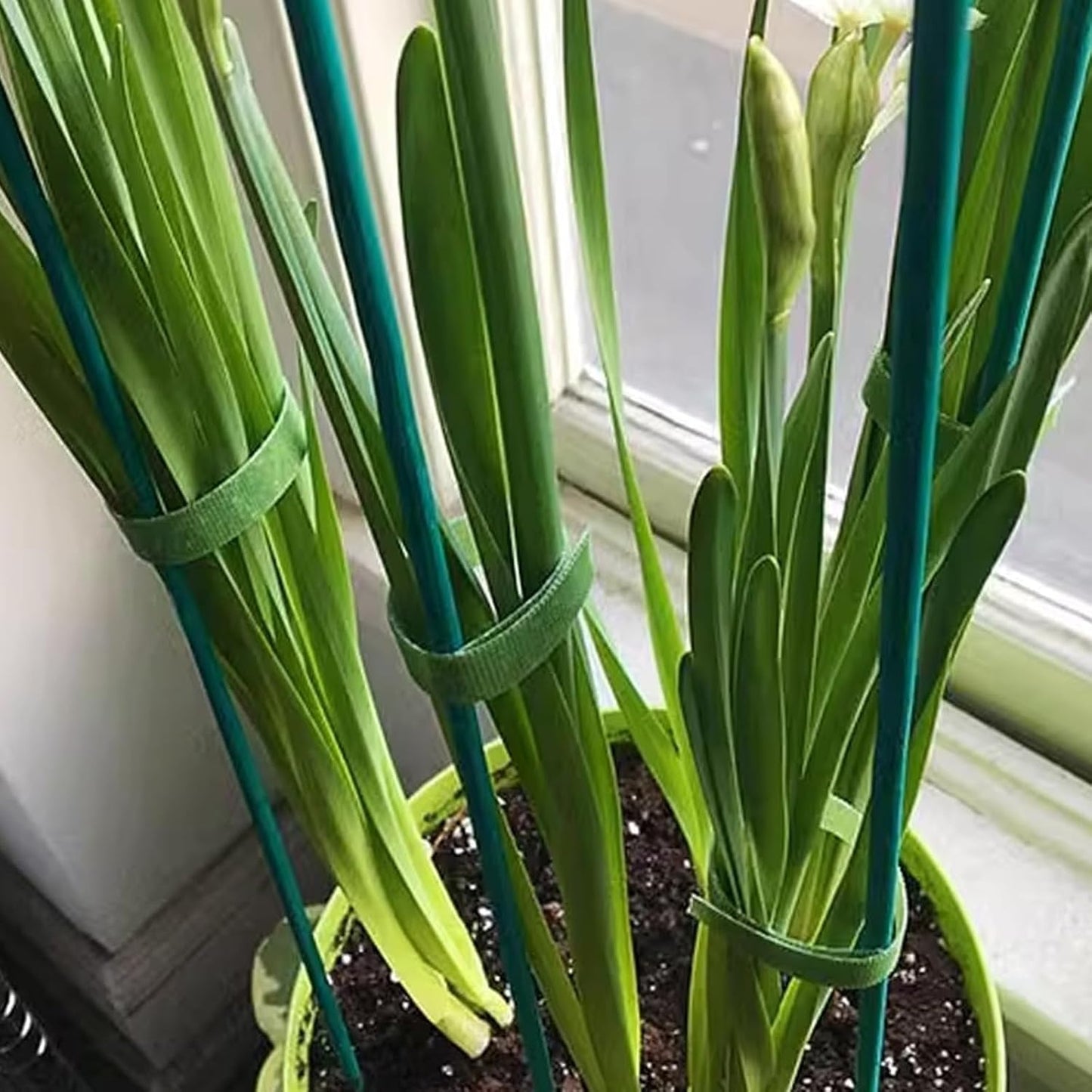 RONYOUNG 100 Pieces Green Bamboo Plant Stakes with 100 Pieces Orchid Clips and 100 Metallic Twist Ties for Supporting Stems Vines Stalks Grow Upright