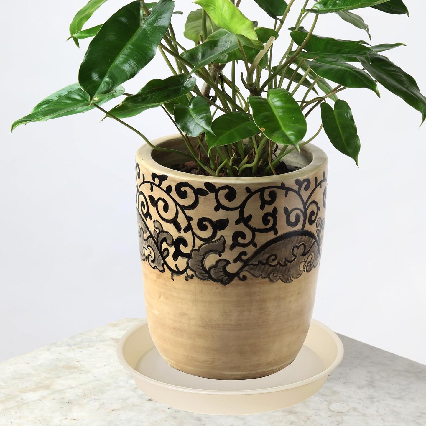 2 Pack of 14 inch Plant Saucers Bird Bath Bow Round, Plastic Plant Saucer Tray for Pots, White Planters for Indoor Plants, Plant Trays for Planter 12-15" (14", Beige)