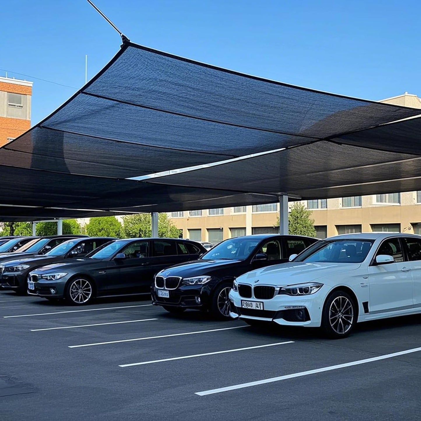 winemana 40% Black Shade Cloth, 6.6 x 10 FT Mesh Tarp with Grommets, Garden Sunblock Shade Cloth Shading Antifreezing for Plants Cover, Greenhouse, Barns Kennel, Patio, Tomatoes