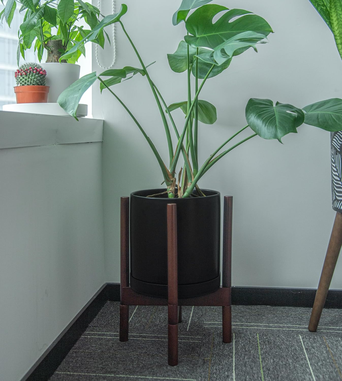 Phoenix Vine 10 Inch Plastic Plant Saucer Water Drip Tray, Heavy Sturdy Round Plant Drainage Tray for Indoors Outdoor, Matte Black, 21-TY-10B-1