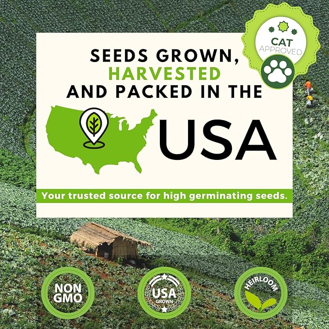 HOME GROWN 3200+ Cat Grass β π‘π’π‘-ππ π’ π¨π¦π Grown Catnip, Alfalfa, Oat, Cat Grass Mix β Indoor Cat Grass Kit Refill β High-Germination Pet Grass for Hairball Relief & Digestion