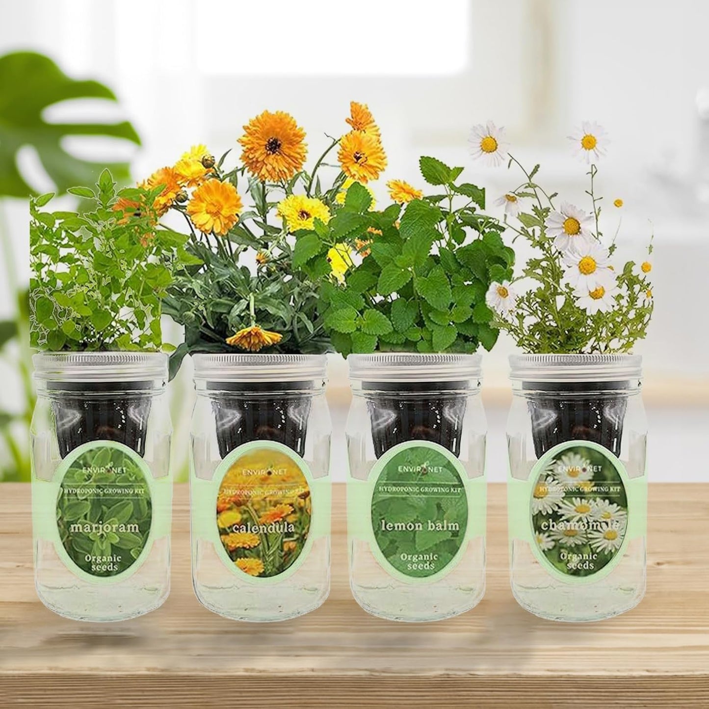 Hydroponic Herb Growing Kit Set, Self-Watering Mason Jar Herb Garden Starter Kit Indoor, Grow 4 Kinds of Herbs from Seeds (Calendula,Chamomile,Lemon Balm&Marjoram)