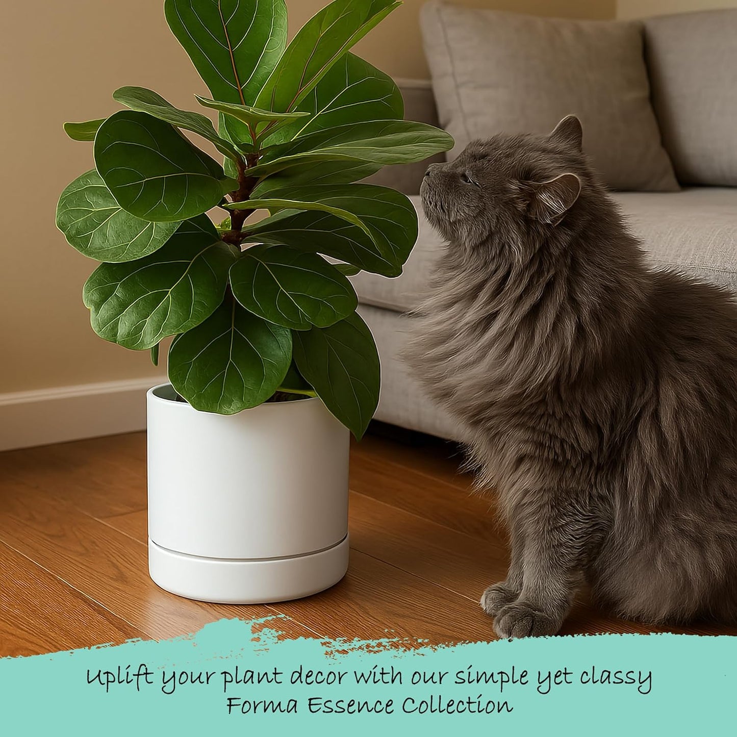 Phoenix Vine 8 Inch Planter Pot with Drainage Hole & Saucer, Deep Water Catch Tray, Straight Cylindrical Round Pot for Plants, Matte White, Pack of 1, 23-B-T-1