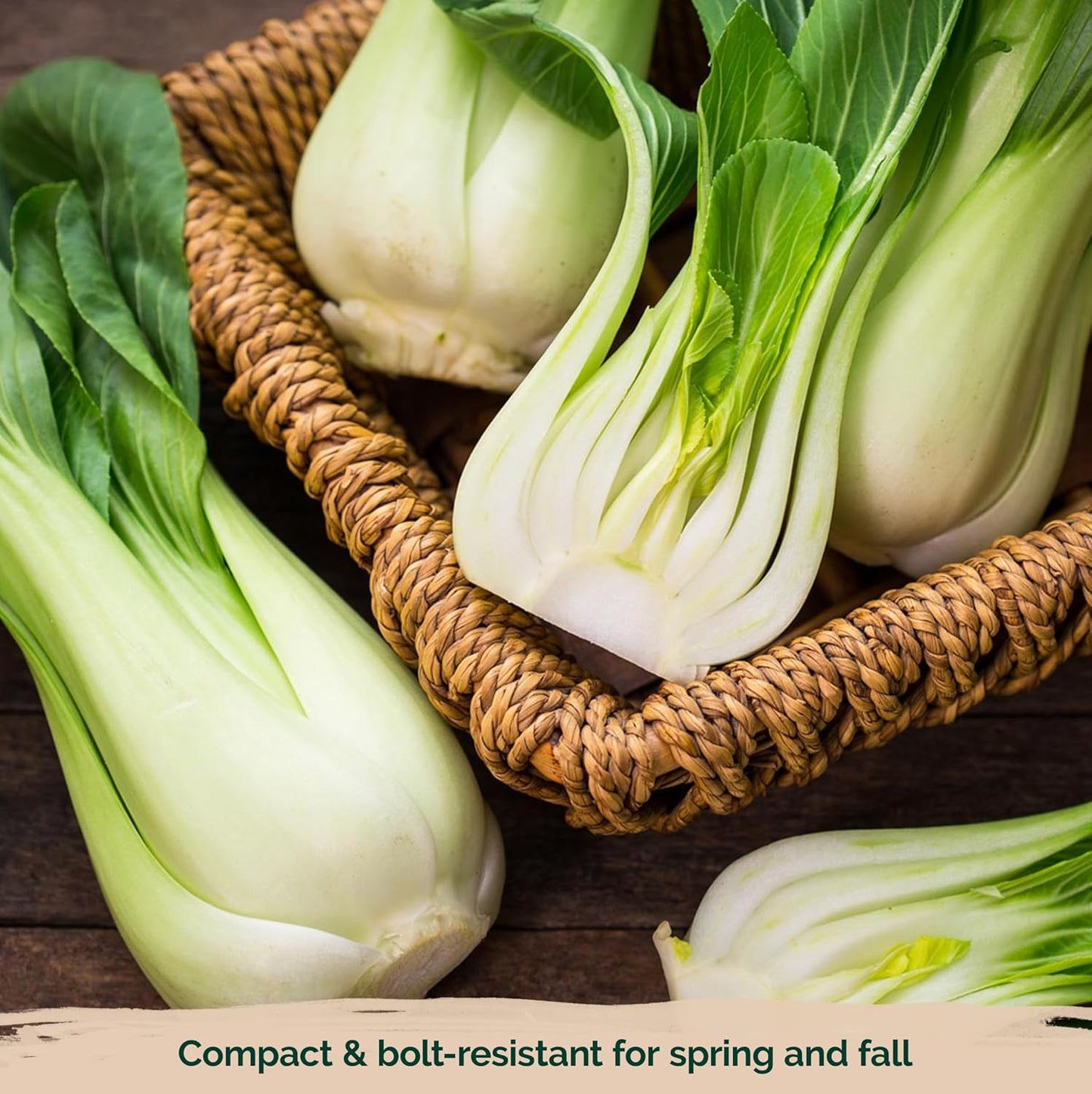 KVITER 1,200 Baby Bok Choy Seeds for Planting (Brassica rapa subsp. chinensis) – Heirloom Extra Dwarf Pak Choi, White Stem Chinese Variety – Organic Cabbage Seeds to Plant in Vegetable Garden