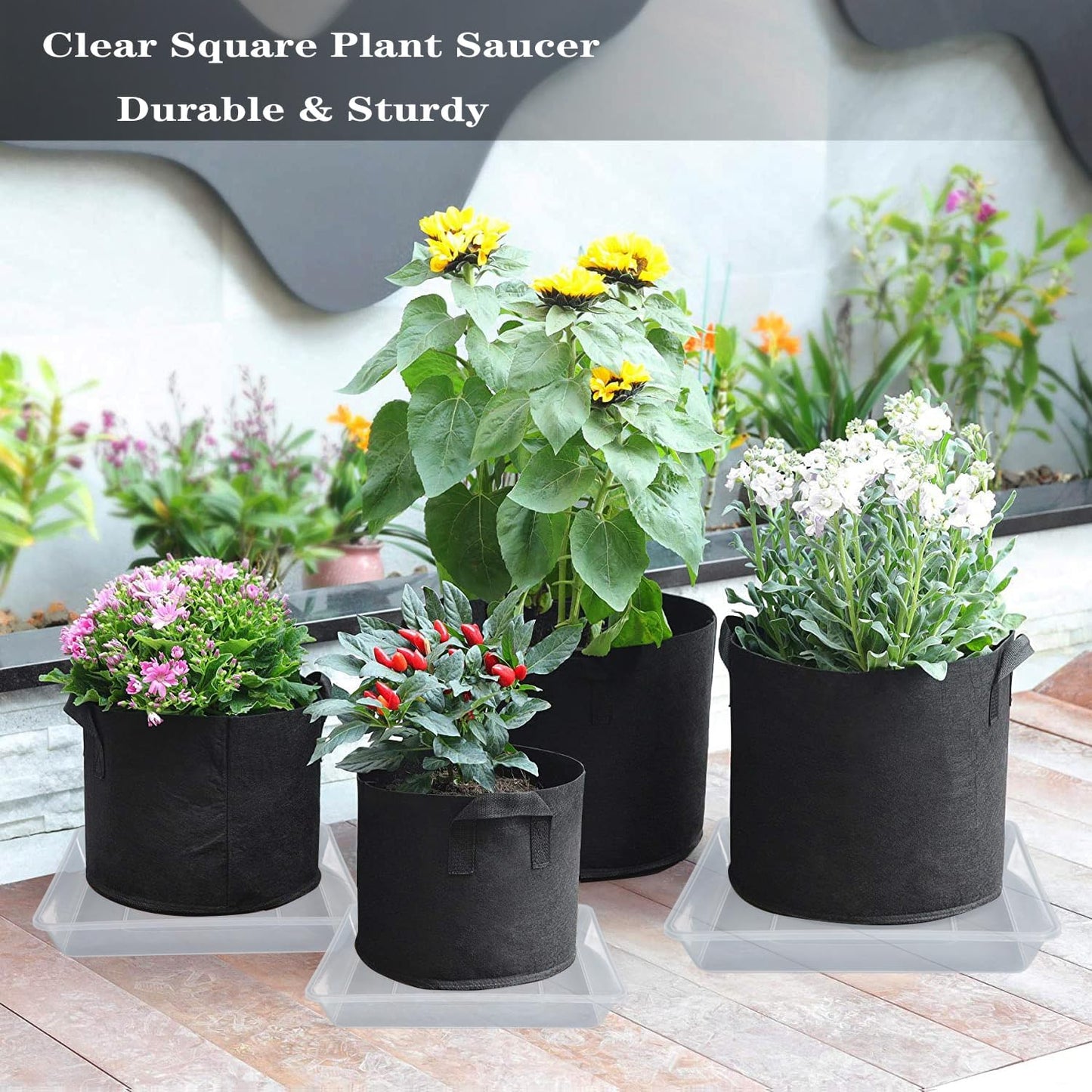 Square Plant Saucer 12 Inch 5 Pack, Strong Clear Plastic Flower Plant Pot Saucer, Square Planters for Indoors and Outdoors Plants, Garden Plant Saucers for Pots Plant Trays.