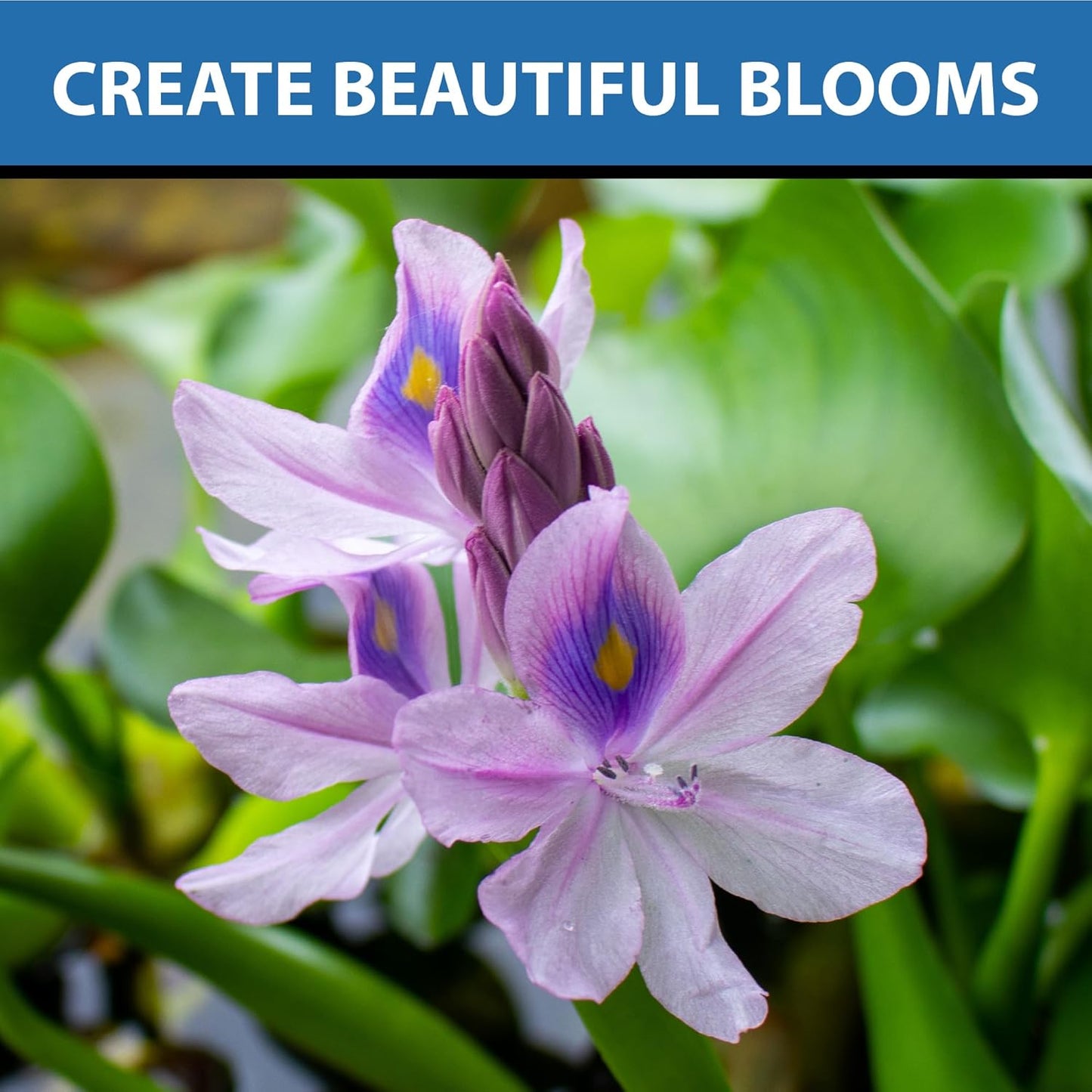 CrystalClear Thrive Aquatic Pond Plant Food, Fish Safe Water Garden Fertilizer, Nutrients Boost Lily & Lotus Flower Bloom & Root Growth, 200 Tablets