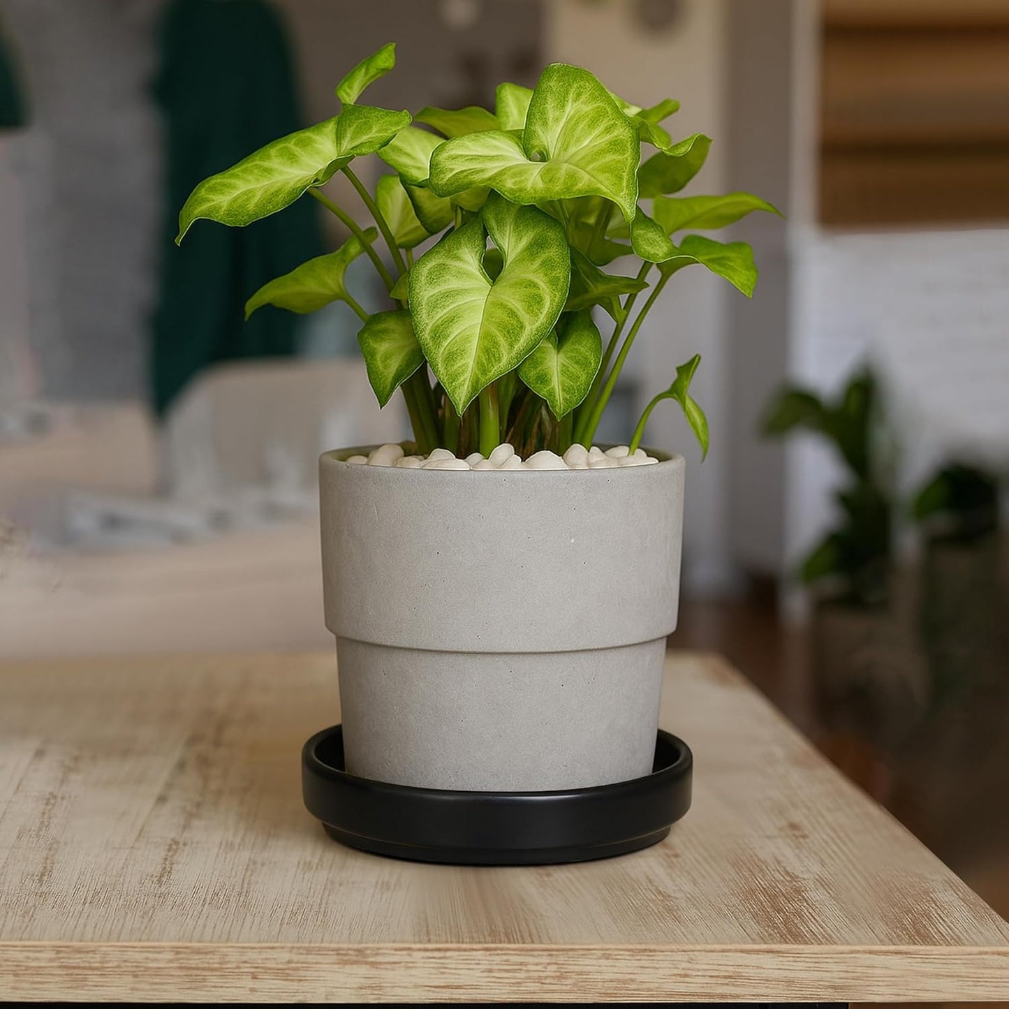 D'vine Dev Modern Round 5.4 Inch Ceramic Plant Pot Saucer, Planter Pot Drainage Tray for Indoor Plants, Matte Black, 97-T-B-2