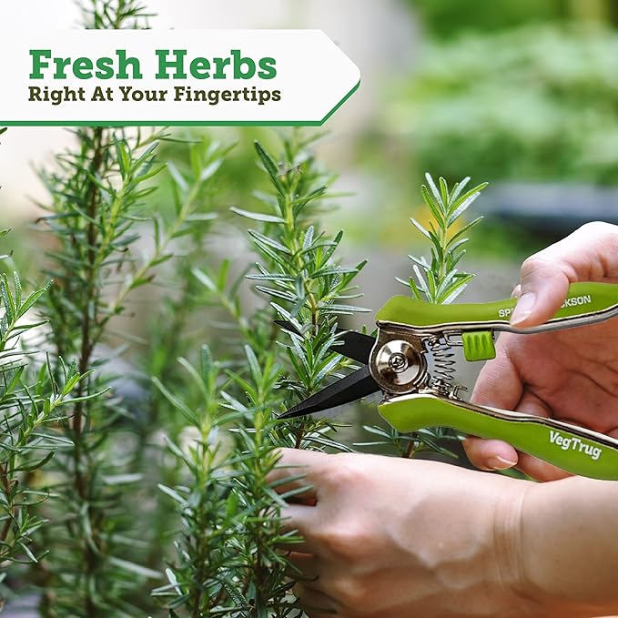 VegTrug 8 Pocket Herb Garden, Wooden Herb Planter with Herb Snips, Gray Wash