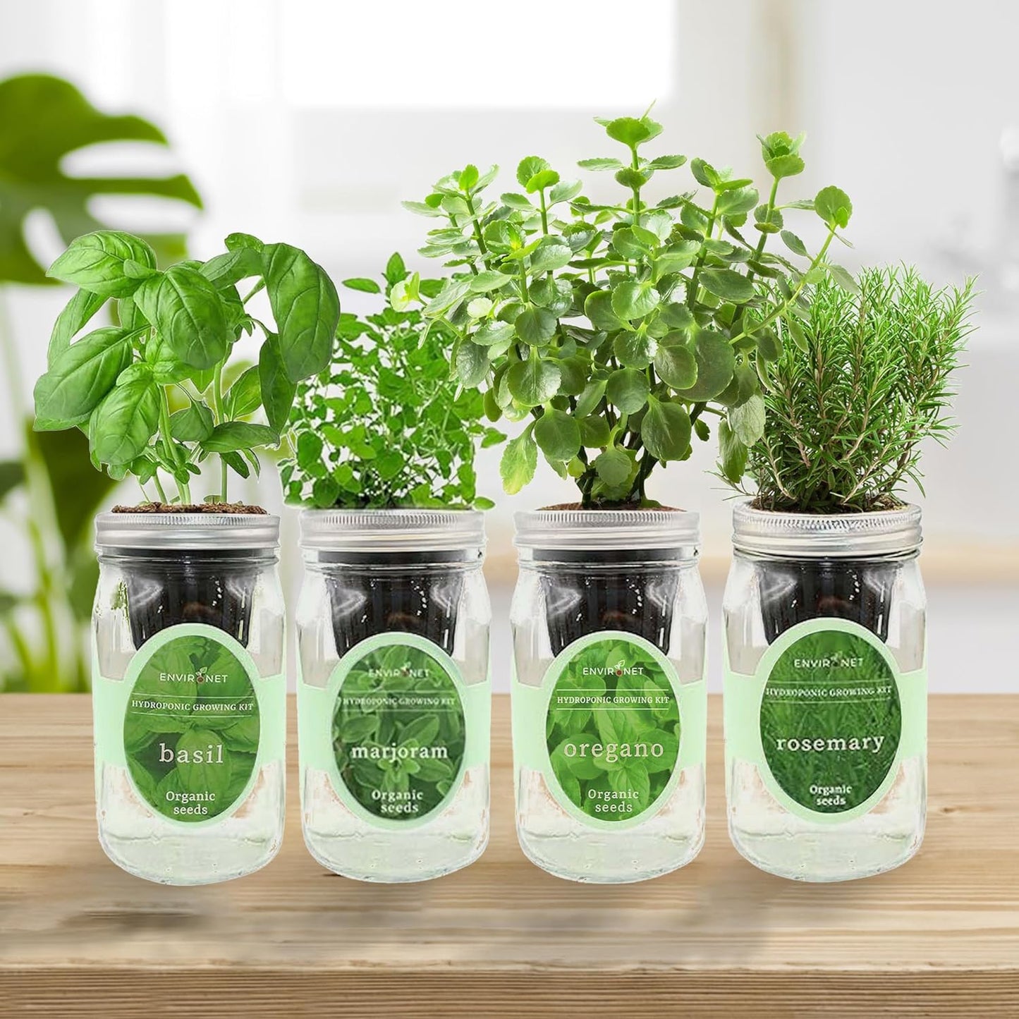 Hydroponic Mason Jar Indoor Garden Organic Seed Starter Kits - Italian Herb Blend Growing Kits, Windowsill Herb Garden, Gardening Gift (Basil, Marjoram, Oregano, Rosemary)
