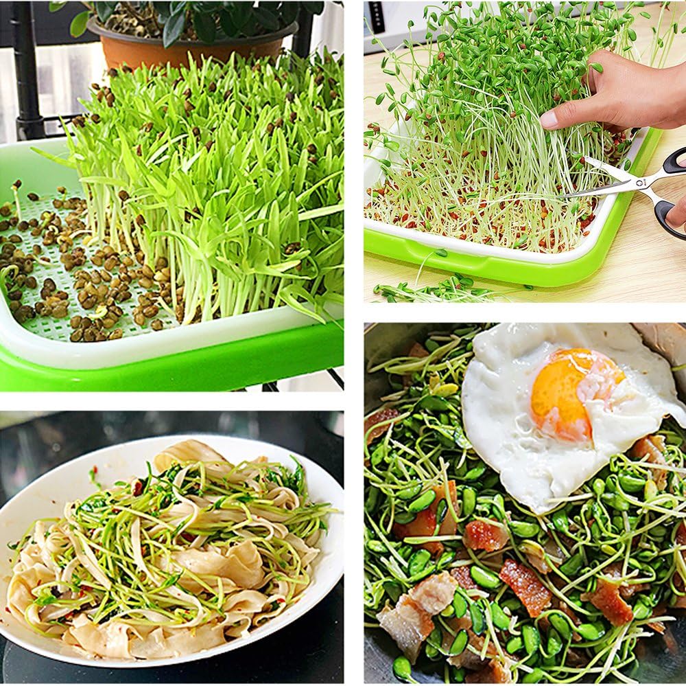4 Layers Sprout Trays with Extra Strength Plastic Shelf Soil-Free Healthy Wheatgrass Seeds Grower & Storage Trays for Garden Home Office