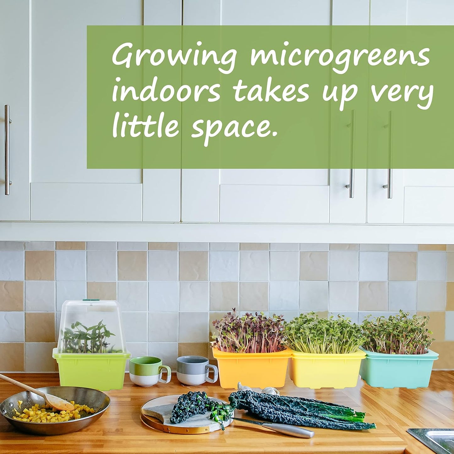 Microgreen Growing Trays, LUVCSOY Sprouting Tray with Humidity Dome, 3mm Large Mesh Holes, BPA Free, Sprouter Kit for Growing Large Seeds, Like Sunflower, Mung Beans, Green Pea - 4 Pack | Colorful