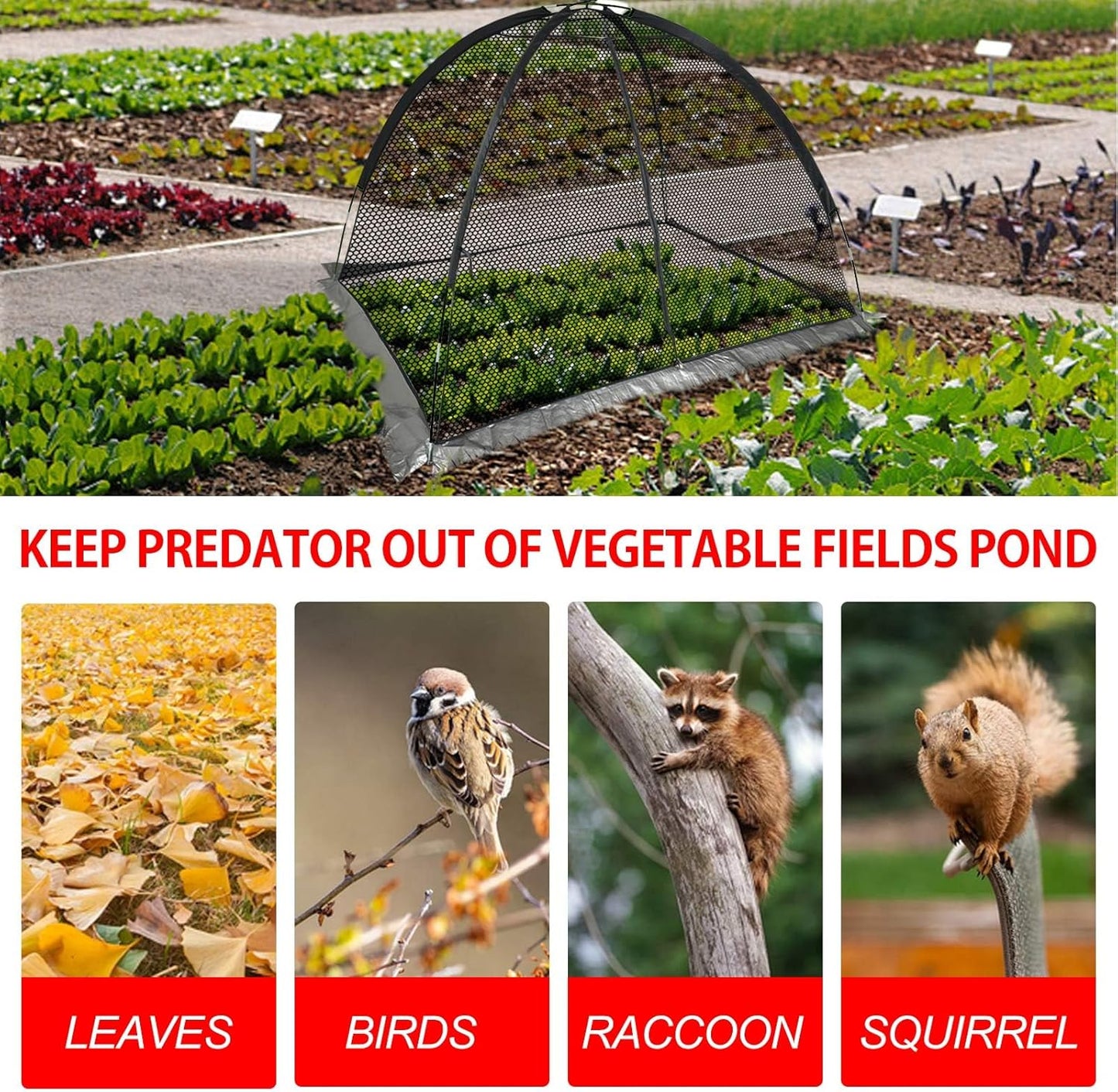 Pond Cover Dome: Protective Netting Tent for Outdoor Fish Koi Ponds Garden Leaves Vegetable Plant Care Use 5X7FT