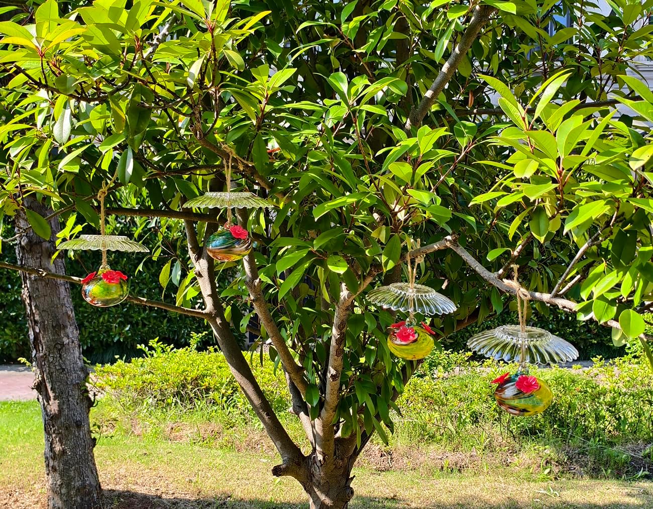Small Glass Hummingbird Feeders for Outdoors Hanging - 4PC x Multi Color Hand Blown Glass Ball Nectar Feeding + Rain Cover, 3 Flowers Feeding Ports, Decor for Garden/Backyard Outside