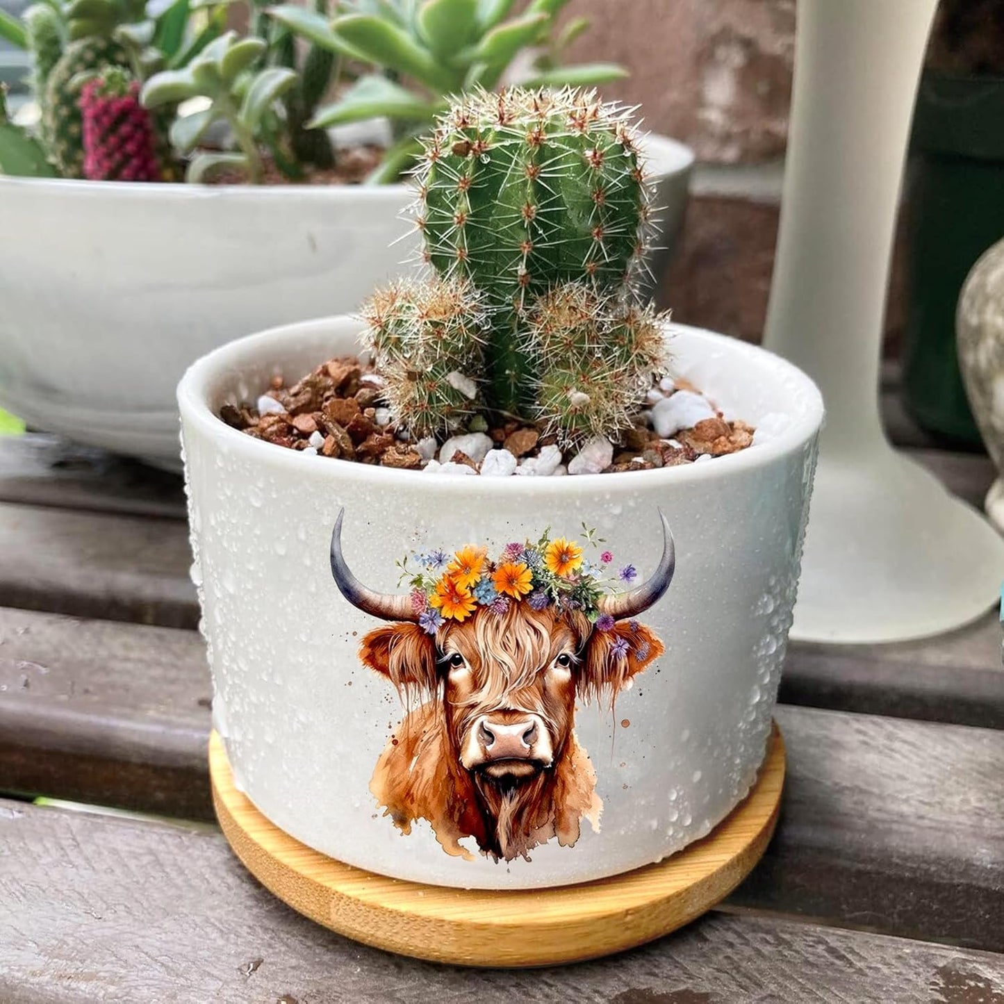 Highland Cow Succulent Pots 3 Pack, 3 Inch Succulent Planters with Drainage and Bamboo Tray, Highland Cow Gifts for Women, Ceramic Small Pots for Baby Plants, Cactus, Herbs- Plants Not Included