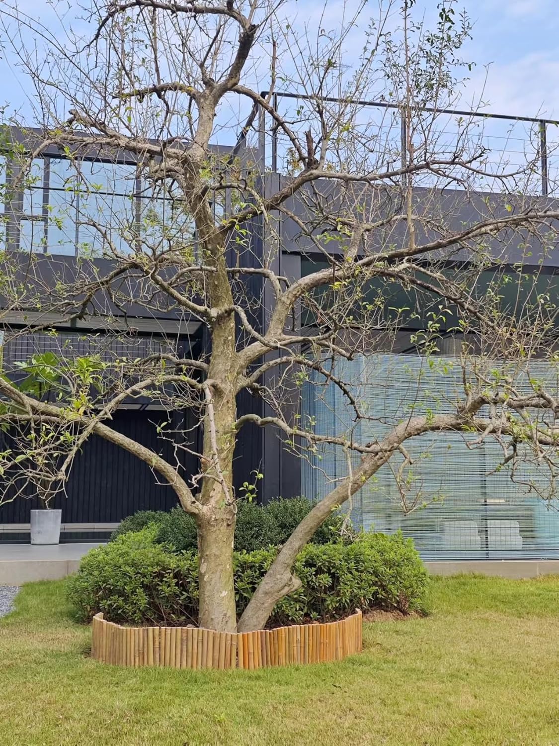 Bamboo Short Fence Outdoor Landscape Edging Flexible Decorative Border 7.8'' H x 47'' L