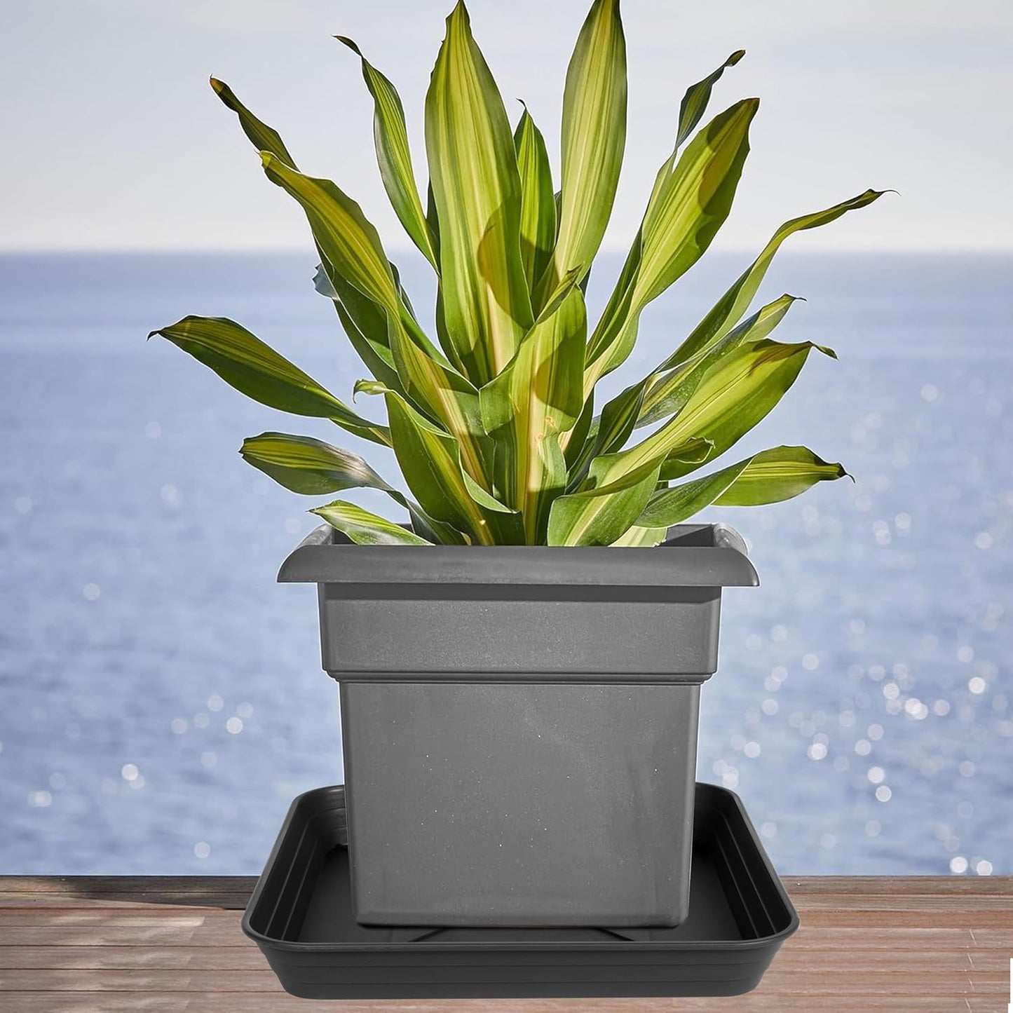 4 Pack Square Plant Saucer Tray 8 inch, 6 8 10 12 14 16 18 20 inch Heavy Duty Plastic Square Plant Saucers for Indoors Outdoor, Flower Planter Drip Trays for Pots, Seed Starting Tray