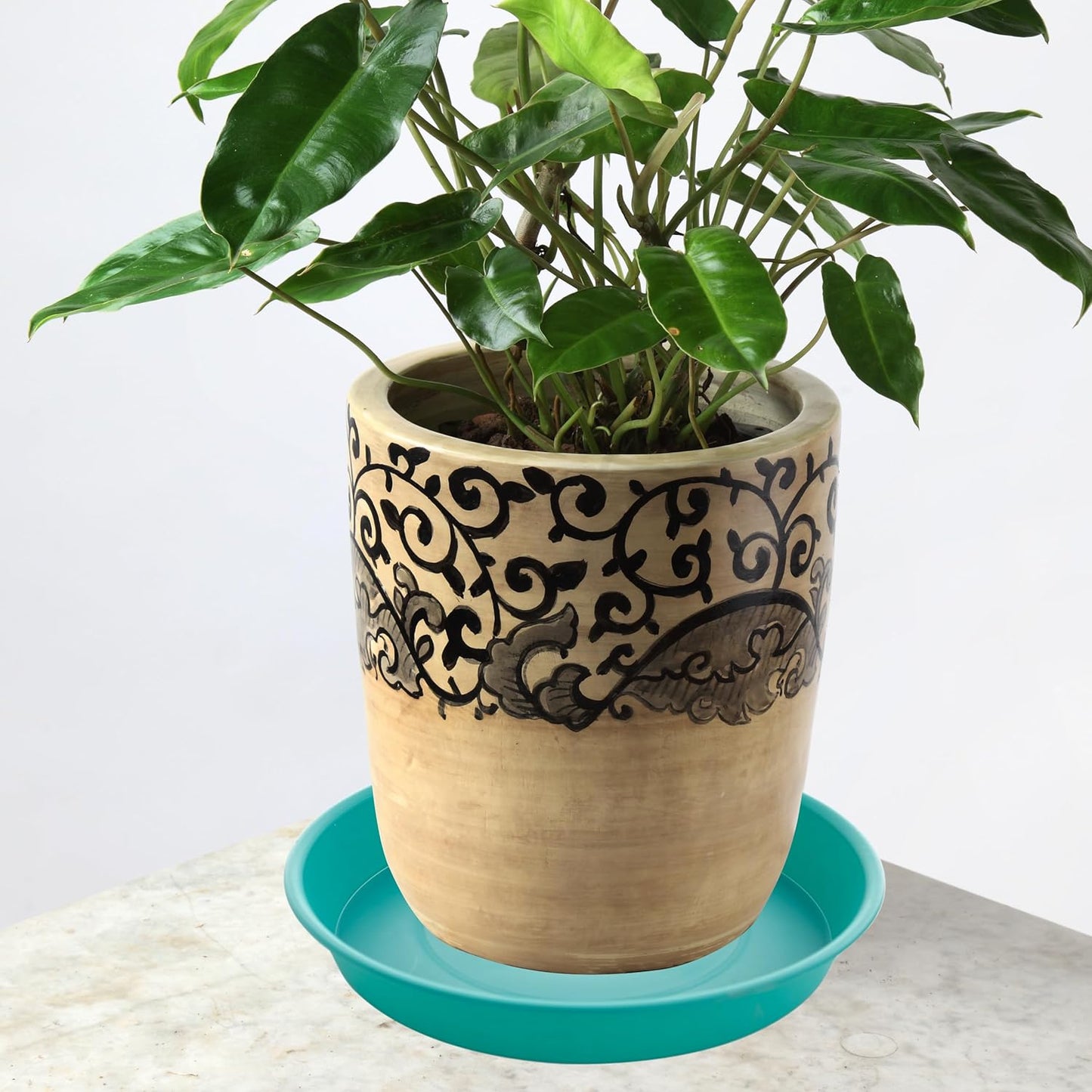 6 Pack of 8 inch Plant Saucer Blue, Plastic Plant Water Tray 8 inch Round, Flower Plant Saucers for Indoors, Dlant Dishes Saucer for Planter 7"/8" (8", Teal)