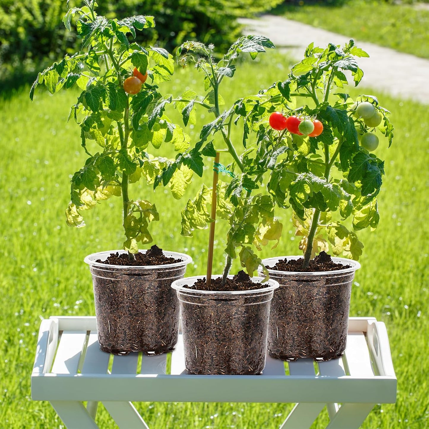 30 Pack 3.5/4/5/6/7 Inch Clear Nursery Pots with Drainage Holes, Transparent Plastic Pots for Plants, Reinforced Seed Starter Pots Flower Pots