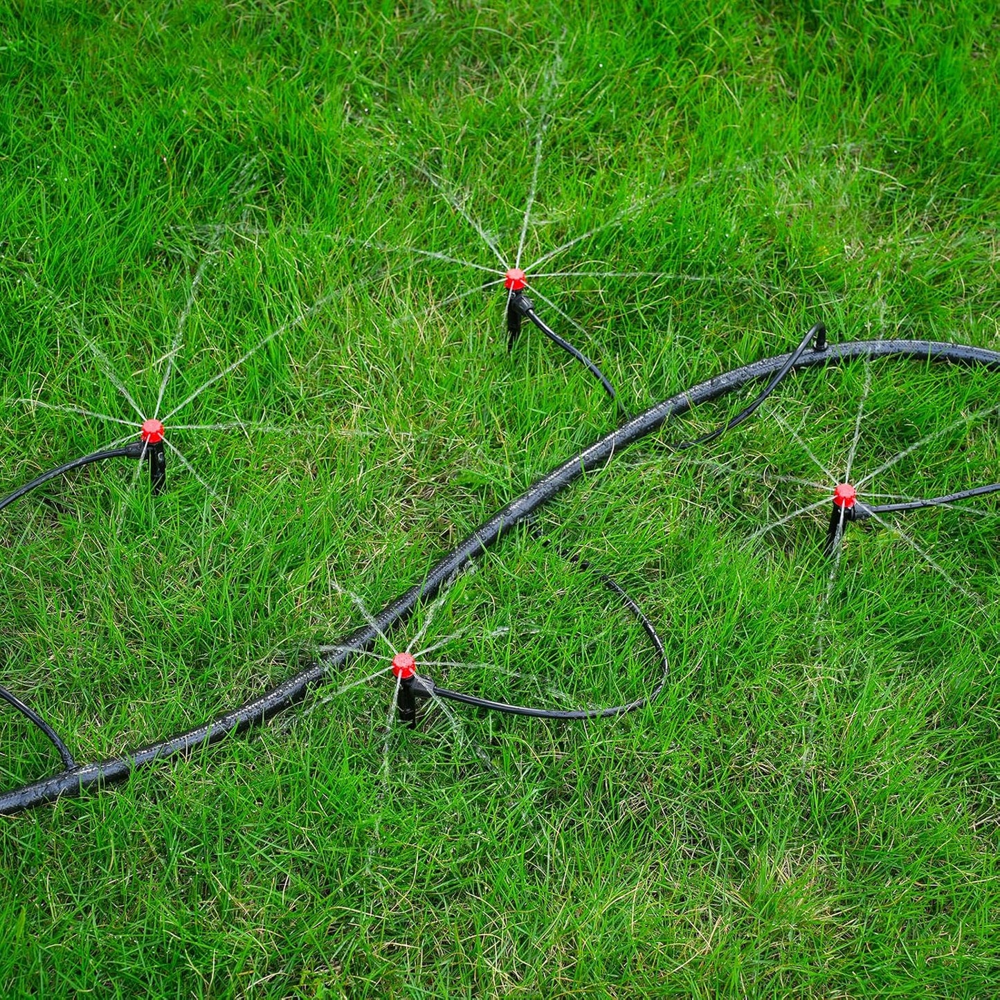 Adjustable Drip Irrigation Emitters with Stakes: 30 Pcs Drip Emitters for 1/4 Inch Drip Irrigation Tubing,360 Degree Irrigation Drippers for Garden Watering