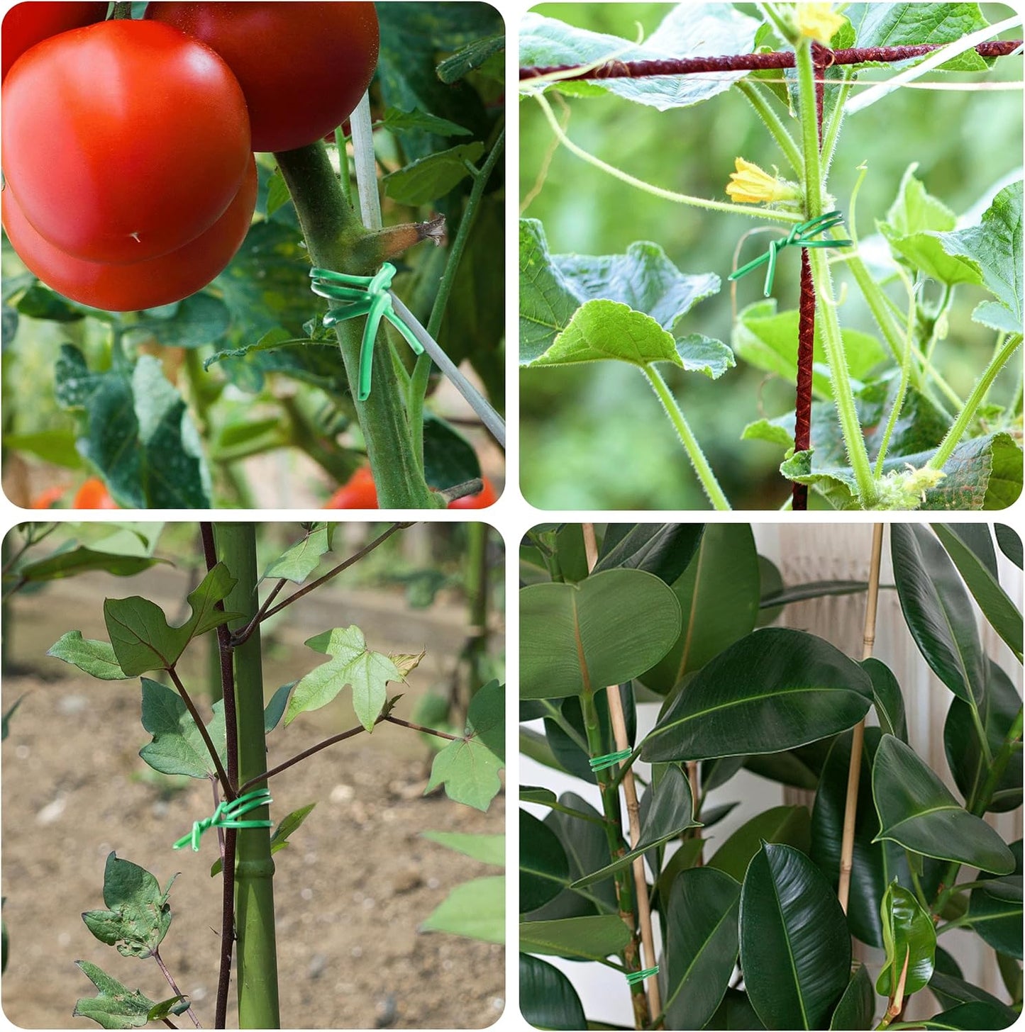 YMHB Twist Ties, 656Feet (200m) Green Garden Plant Ties with Cutter, Green Twist Ties for Gardening Tomatoes Vines Tie Garden Ties, Plant Support and Office Home Cable Organizing