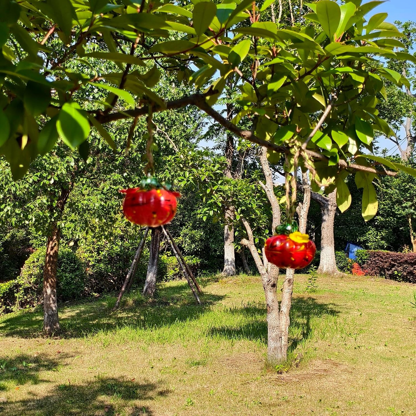 Small Glass Hummingbird Feeders for Outdoors Hanging - 2PC X Red Hand Blown Glass Pumpkin Nectar Feeding, 2 Flowers Feeding Ports, Decor for Garden/Backyard Outside