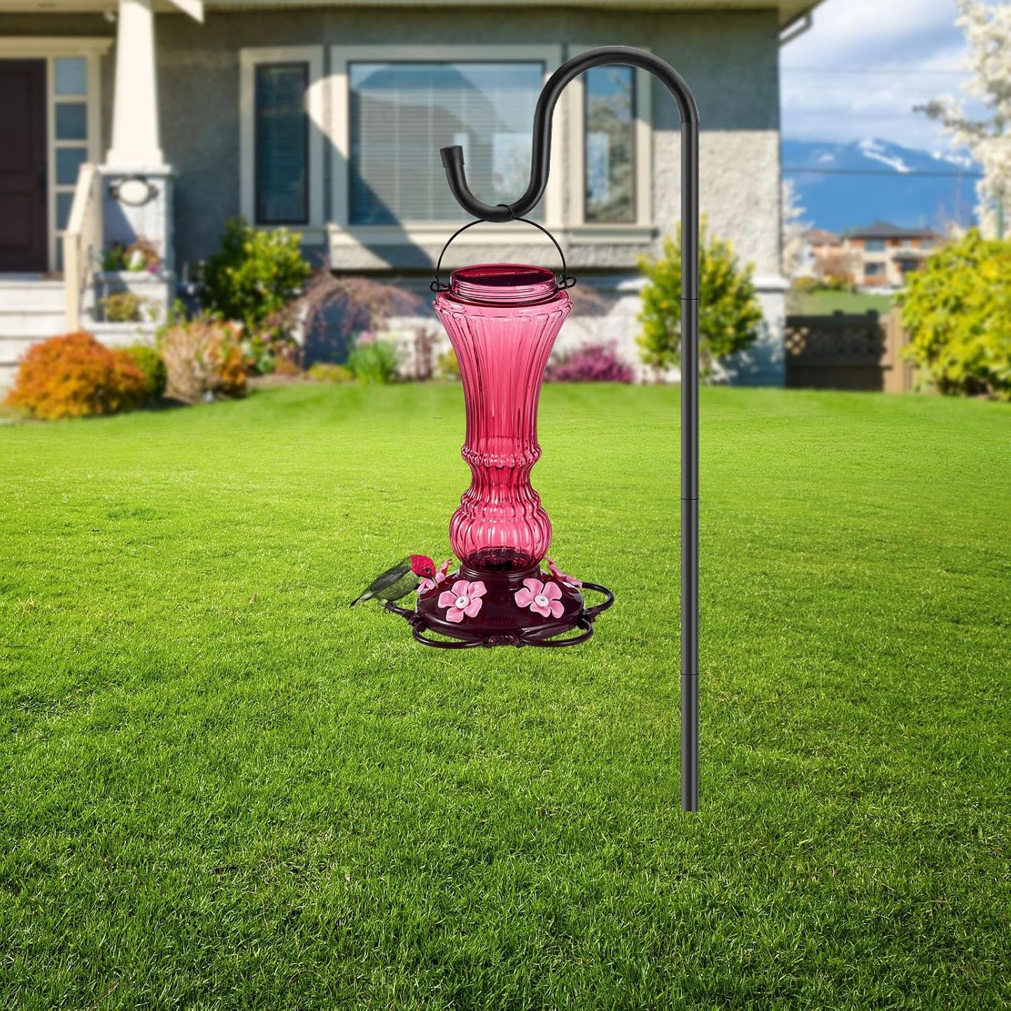 Hummingbird Feeder for Outdoors Plastic Humming Bird Nectar Feeders with 5 Flower Feeding Ports Hanging for Garden Decor, 20 oz (2 Pack