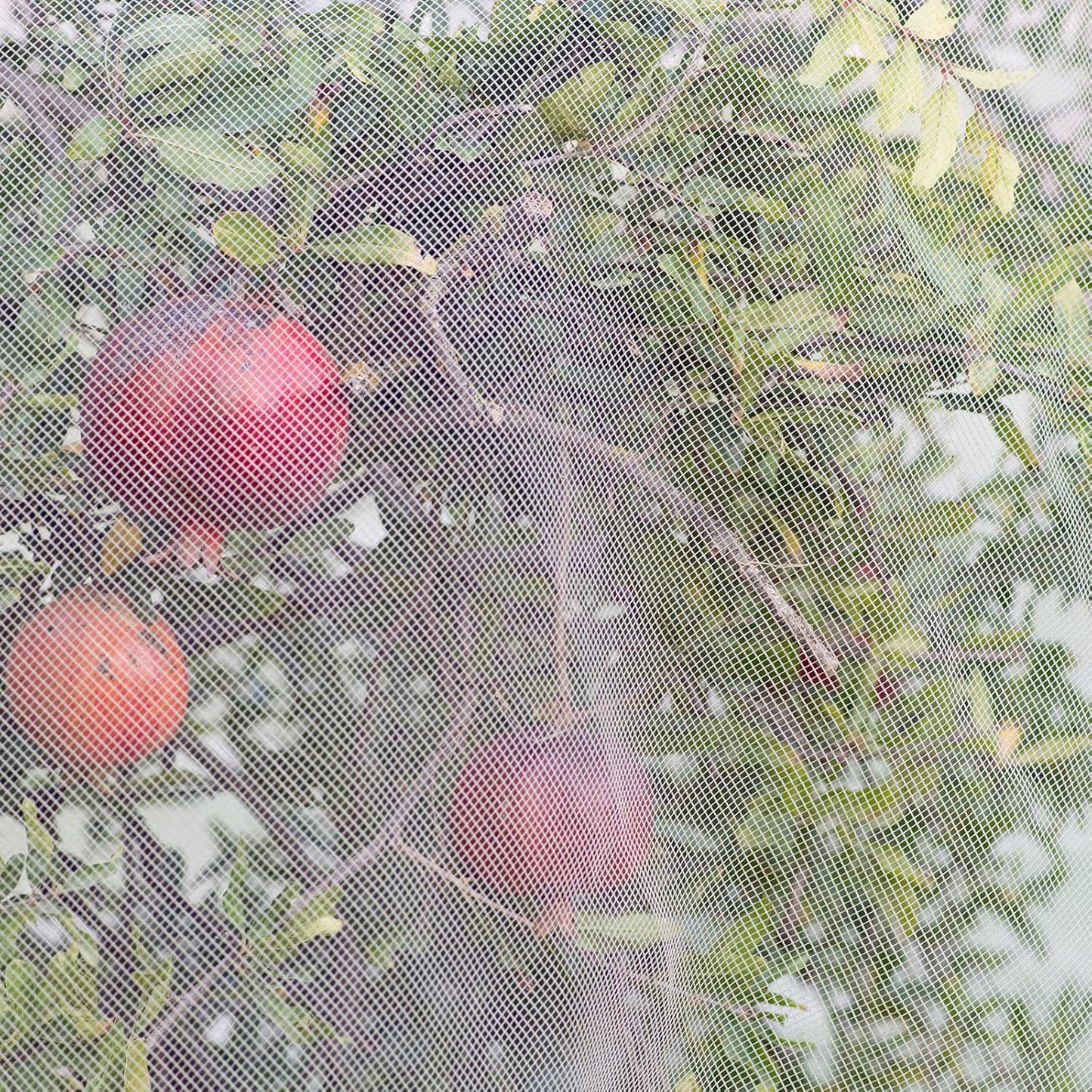 Woanger 10 x 100 FT Garden Netting Ultra Fine Mesh Bird Barrier Insect Netting for Raised Bed Vegetables Fruits Flowers Trees, Plant Row Cover for Garden Greenhouse Patio Protection (White)