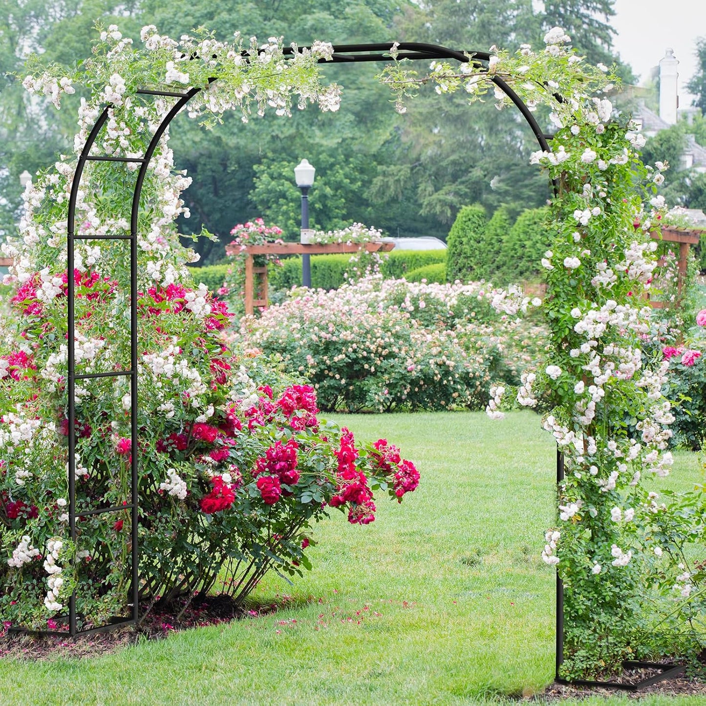 Metal Garden Arch Trellis Arbor, Wedding Arch Stand with Steel Frame,5.3'W * 7.6'H or 7.9'W * 6.3'H Ft,for Garden Arbor Trellis & Climbing Plant, Bridal Party & Ceremony Decorations (Black)